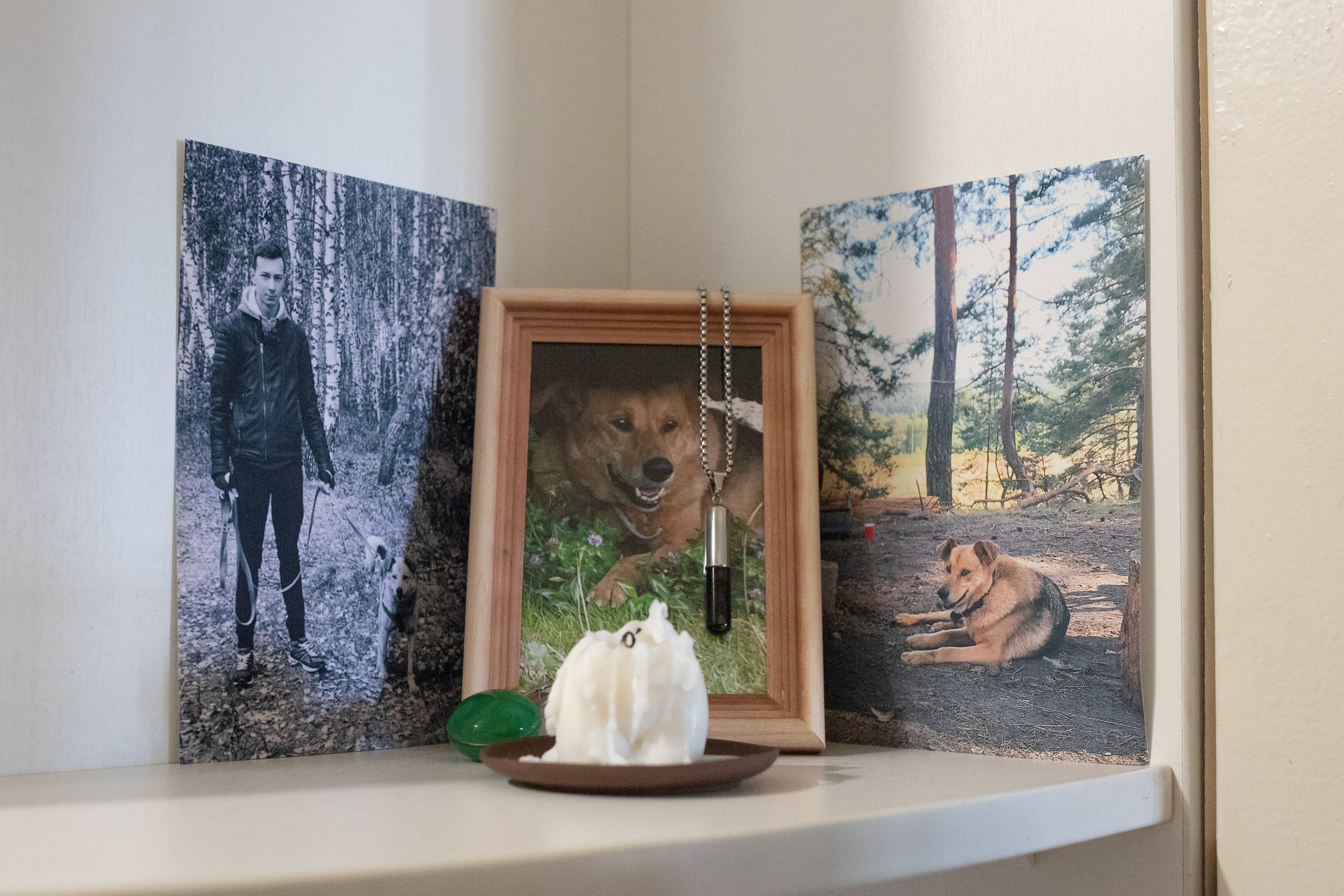 Пустота имеет место. Главная