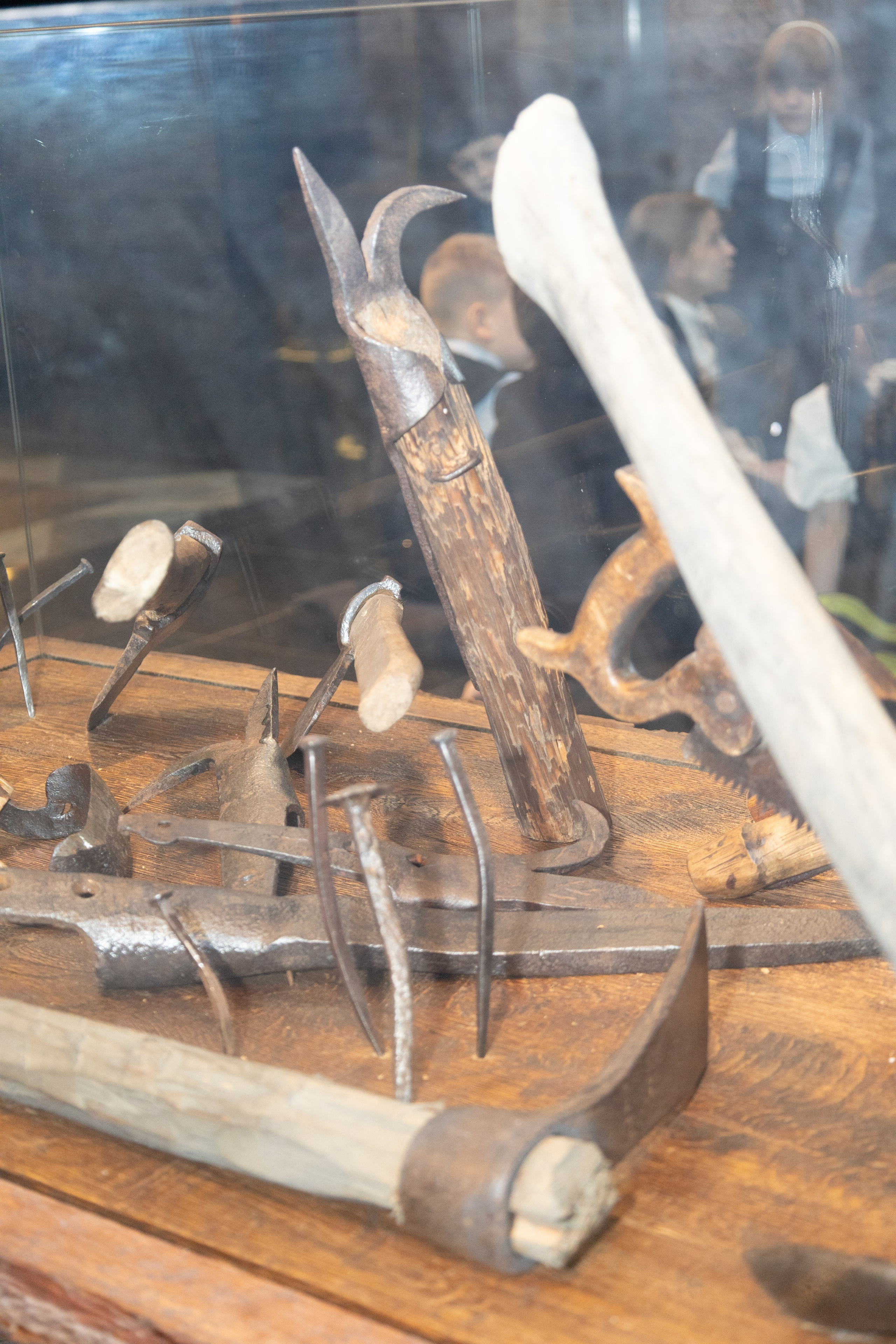 Вселенная воды|Школьная экскурсия