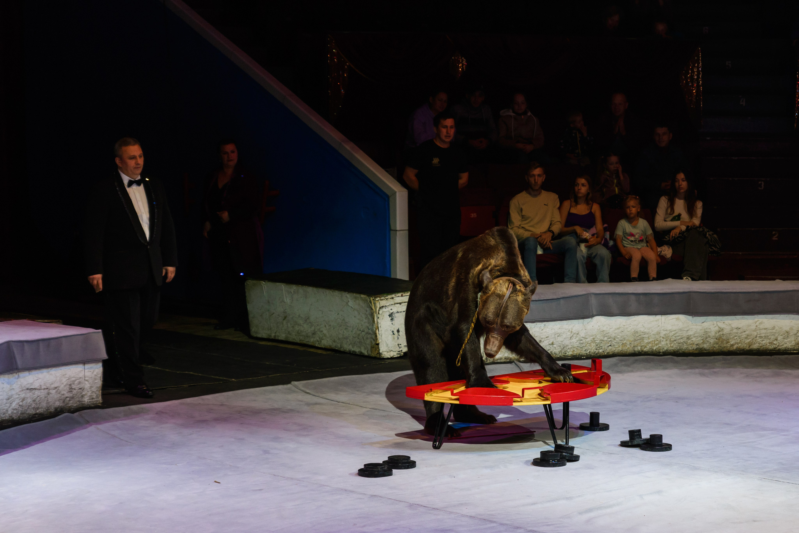 Пермский государственный цирк. Фотограф в Ханты-Мансийске Евгений Жуланов