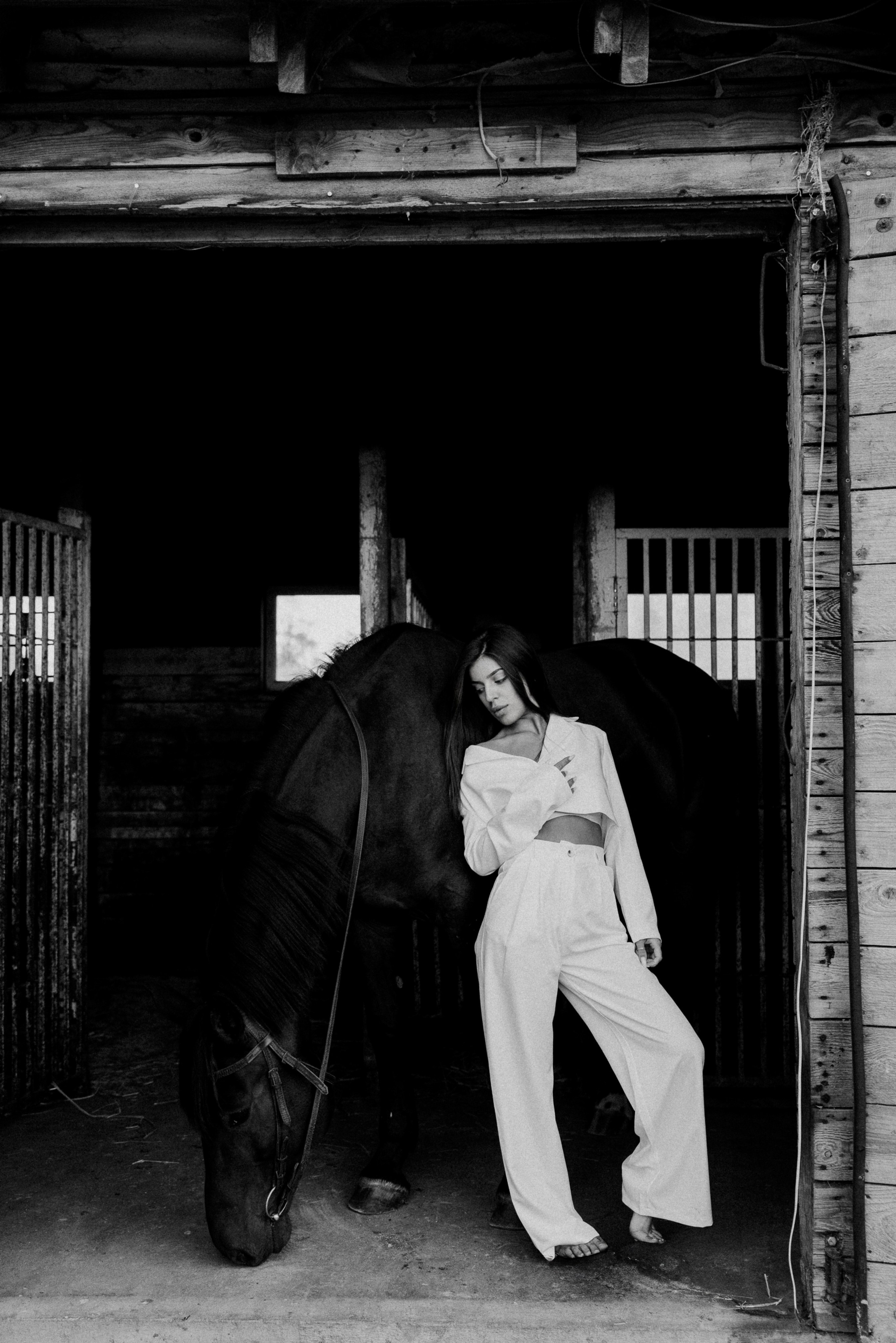 Конные. Главная