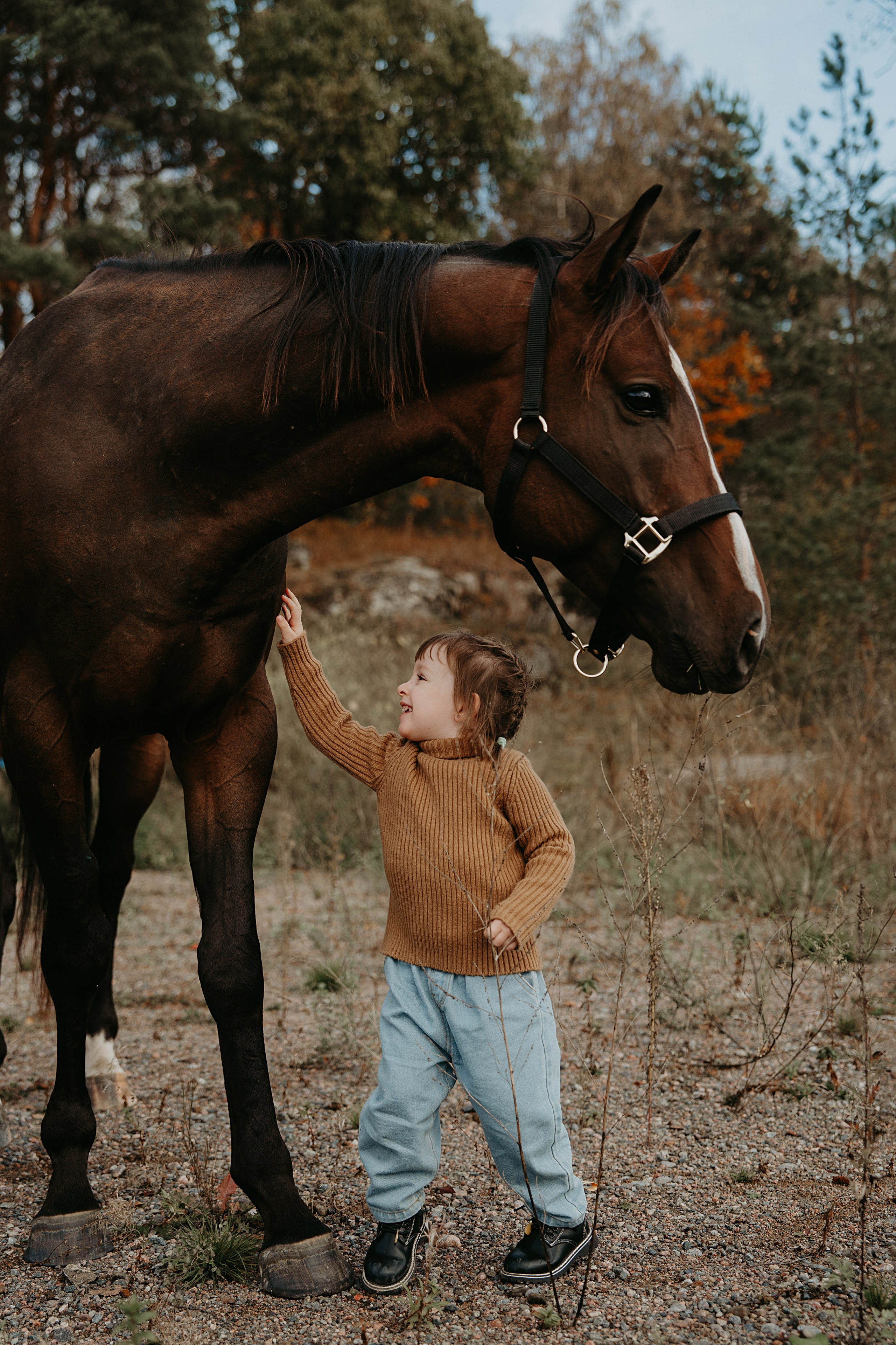 Конные. Главная