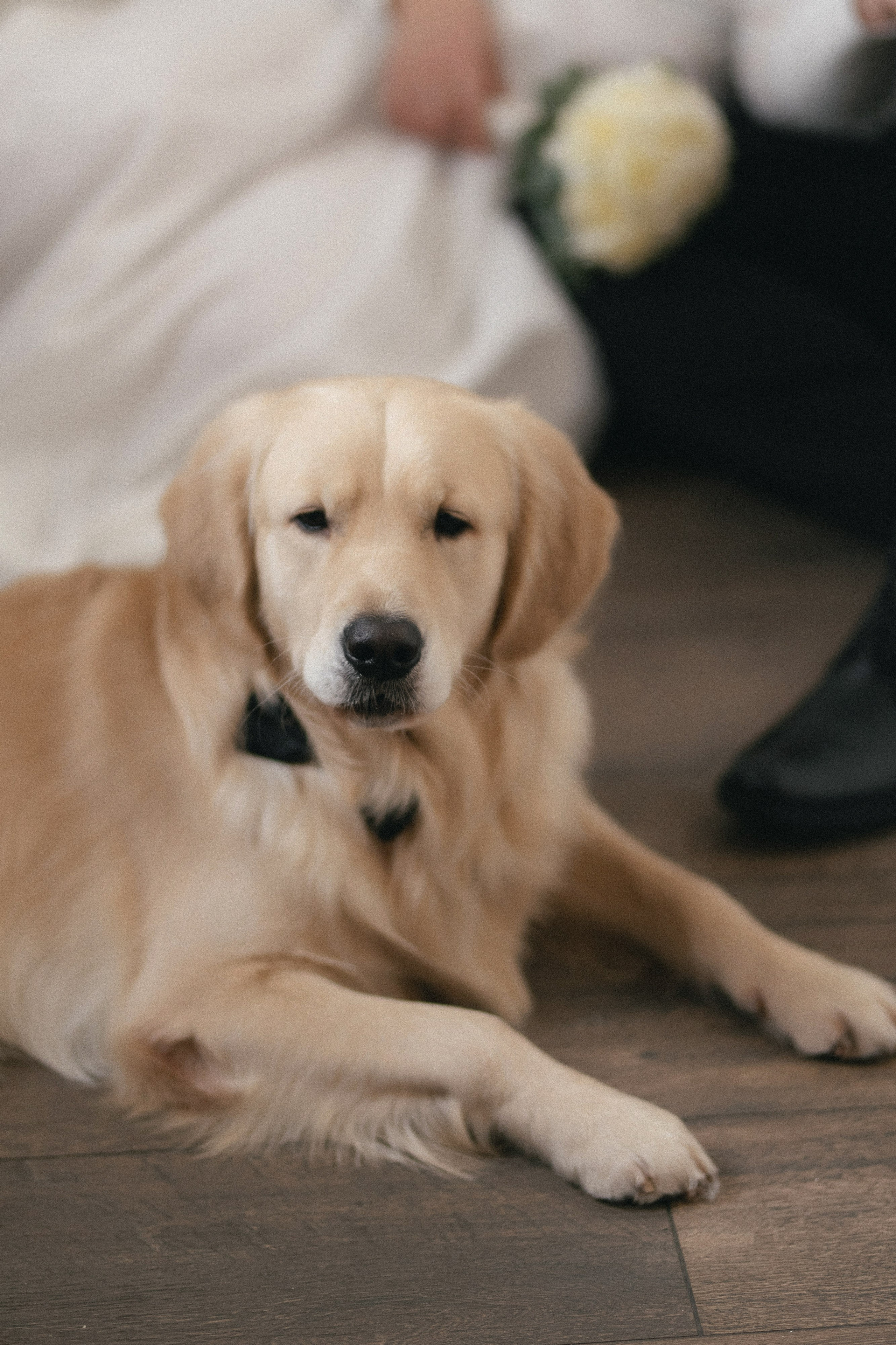 ЕКАТЕРИНА & ПАВЕЛ ` 25.01.25. Maria Startseva Photo