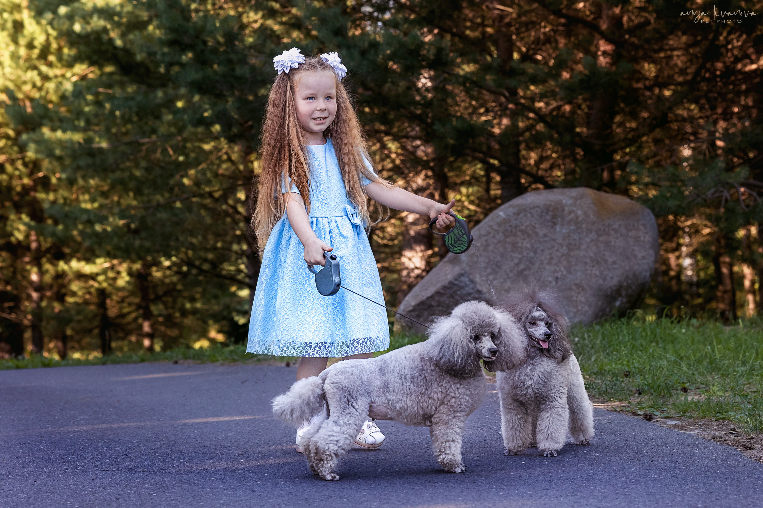 Дёмино. Фотограф анималист Аня Ливанова | Рыбинск