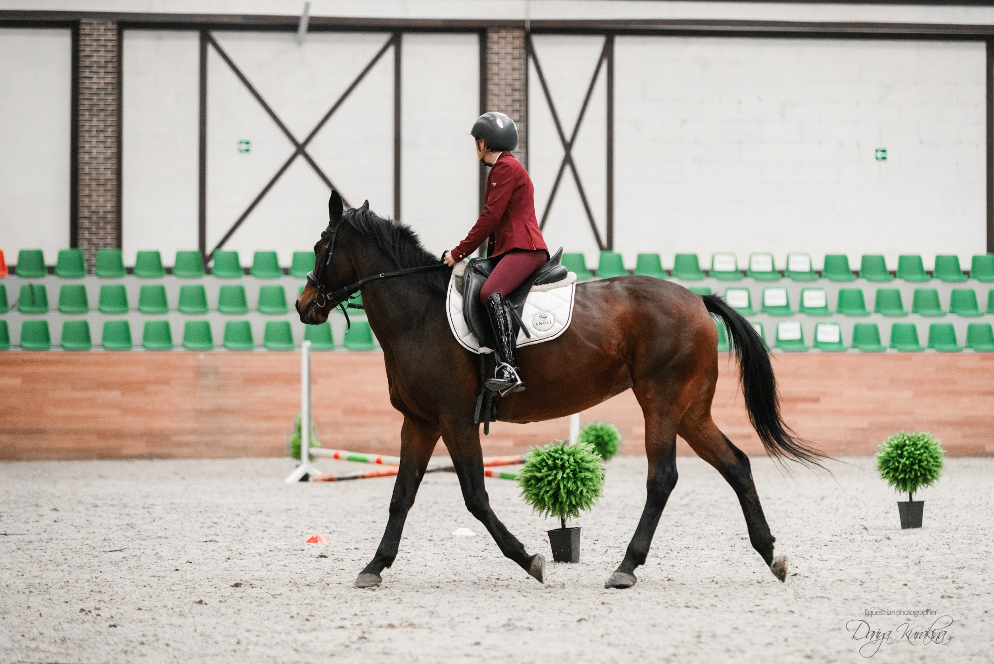 8-я международная выставка Конная Россия. Конный фотограф Куракина Дарья • Фотосессии с лошадьми