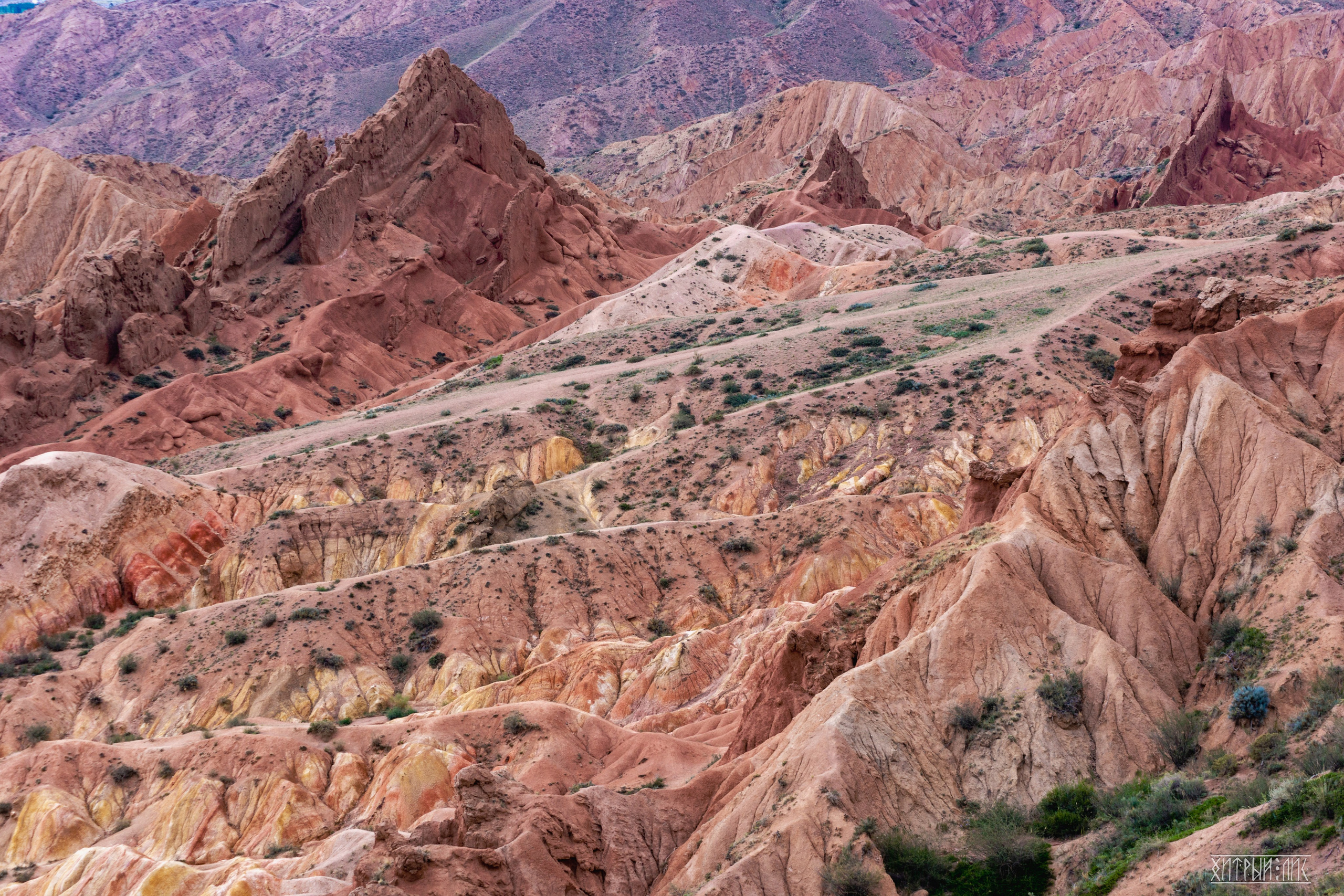 Киргизия. Фотограф-путешественник Самойлов Максим «Sly Fox»