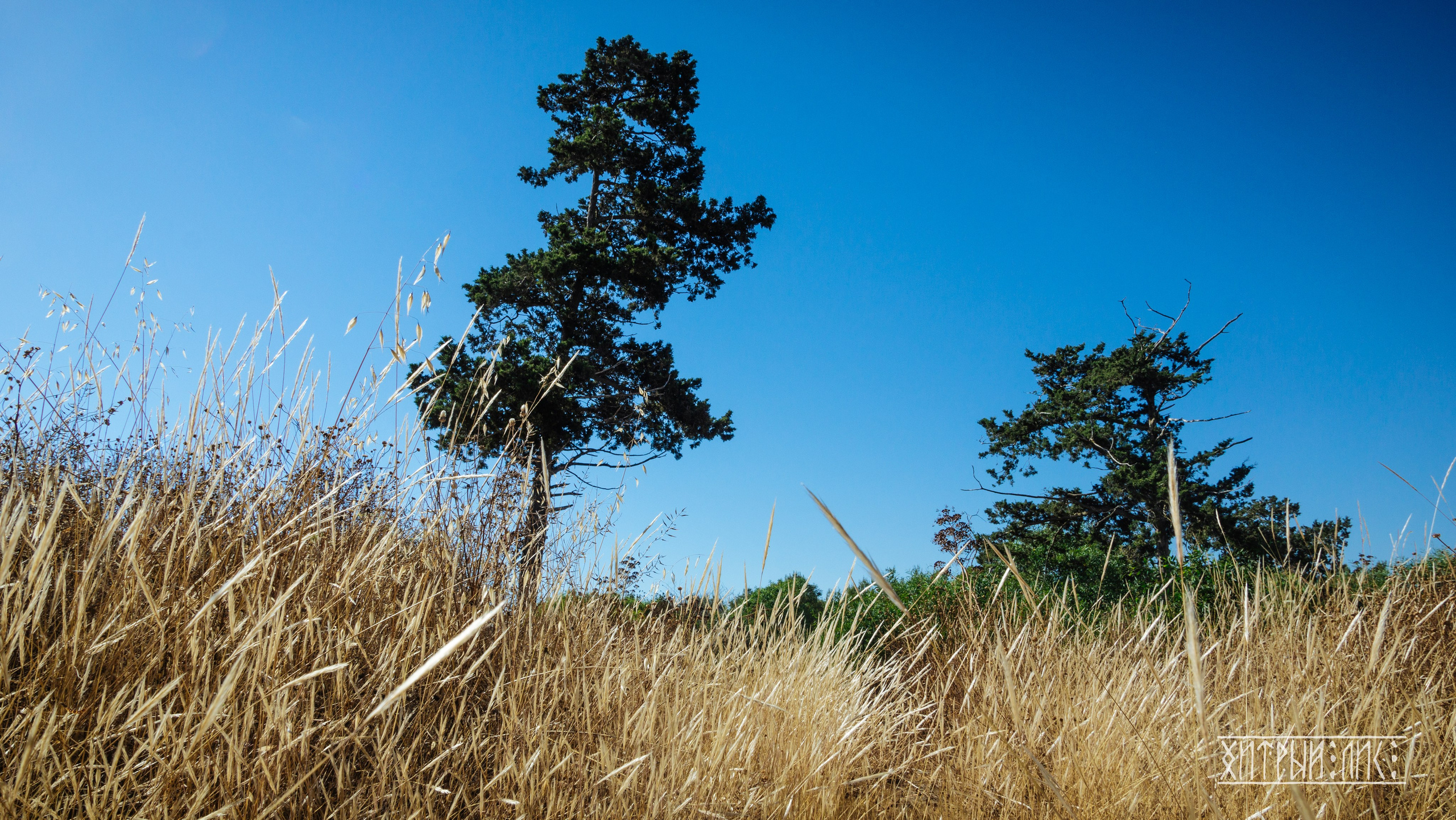 Кипр. Фотограф-путешественник Самойлов Максим «Sly Fox»