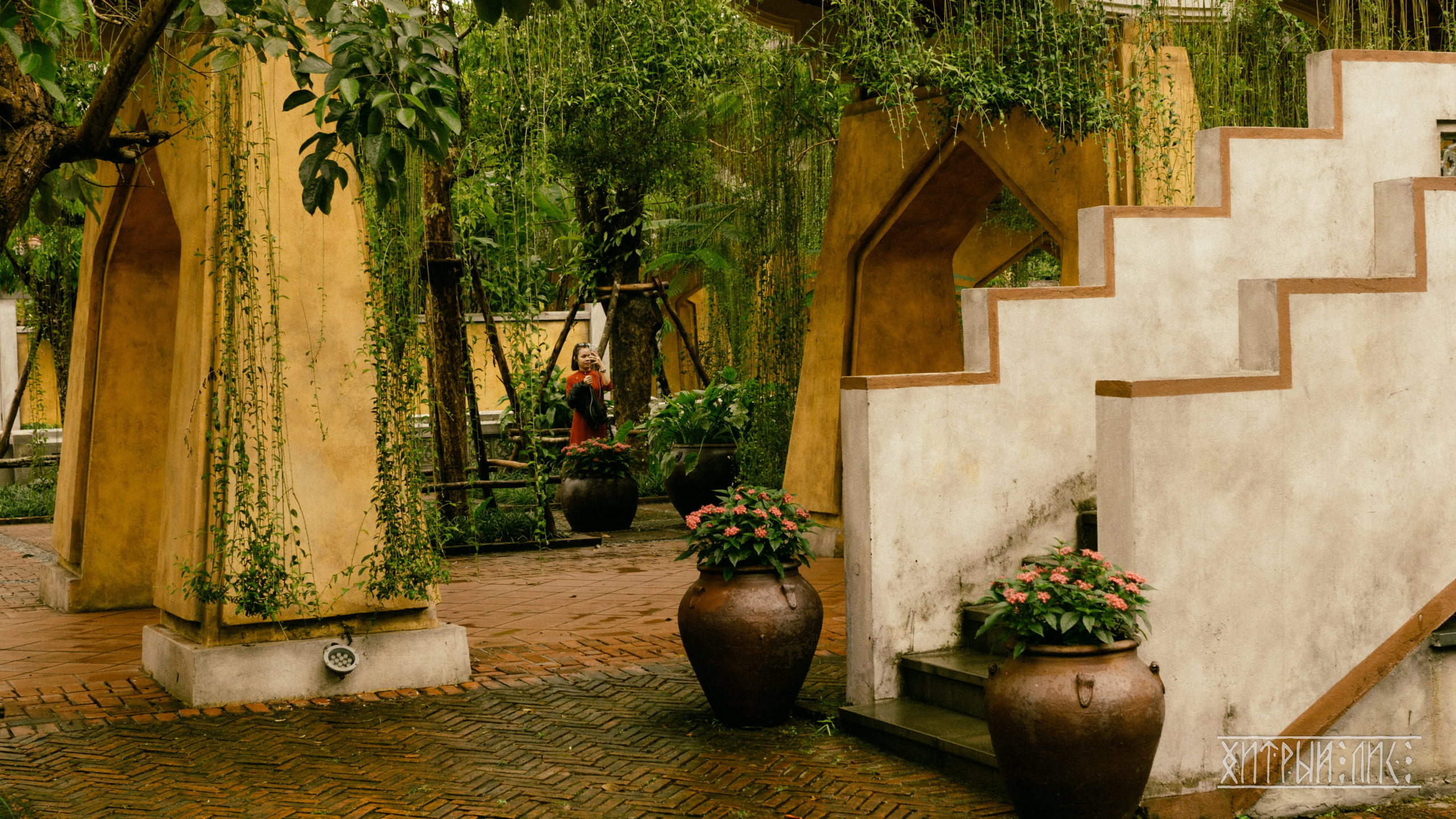 Вьетнам. Фотограф-путешественник Самойлов Максим «Sly Fox»