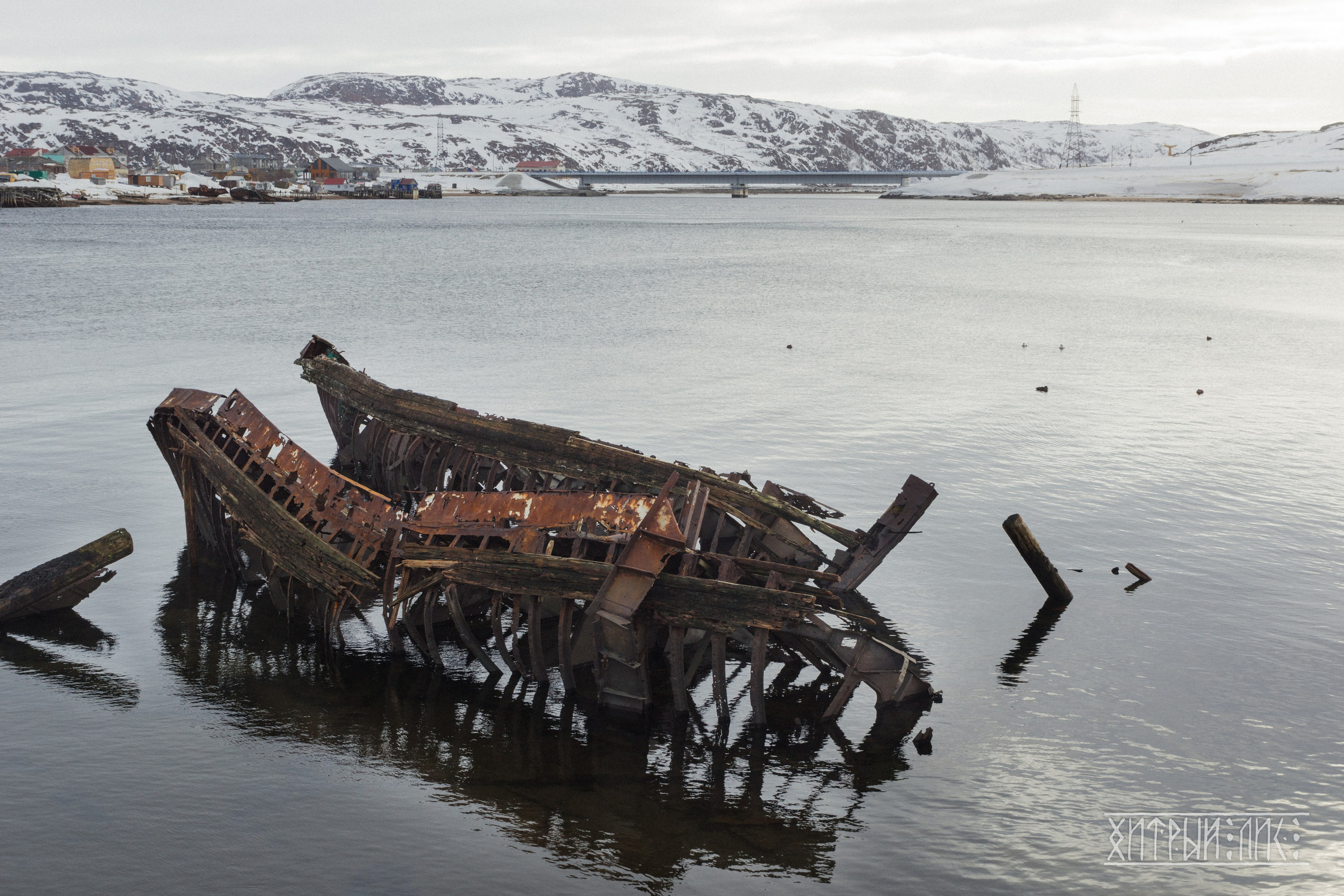 Мурманская обл. Фотограф-путешественник Самойлов Максим «Sly Fox»