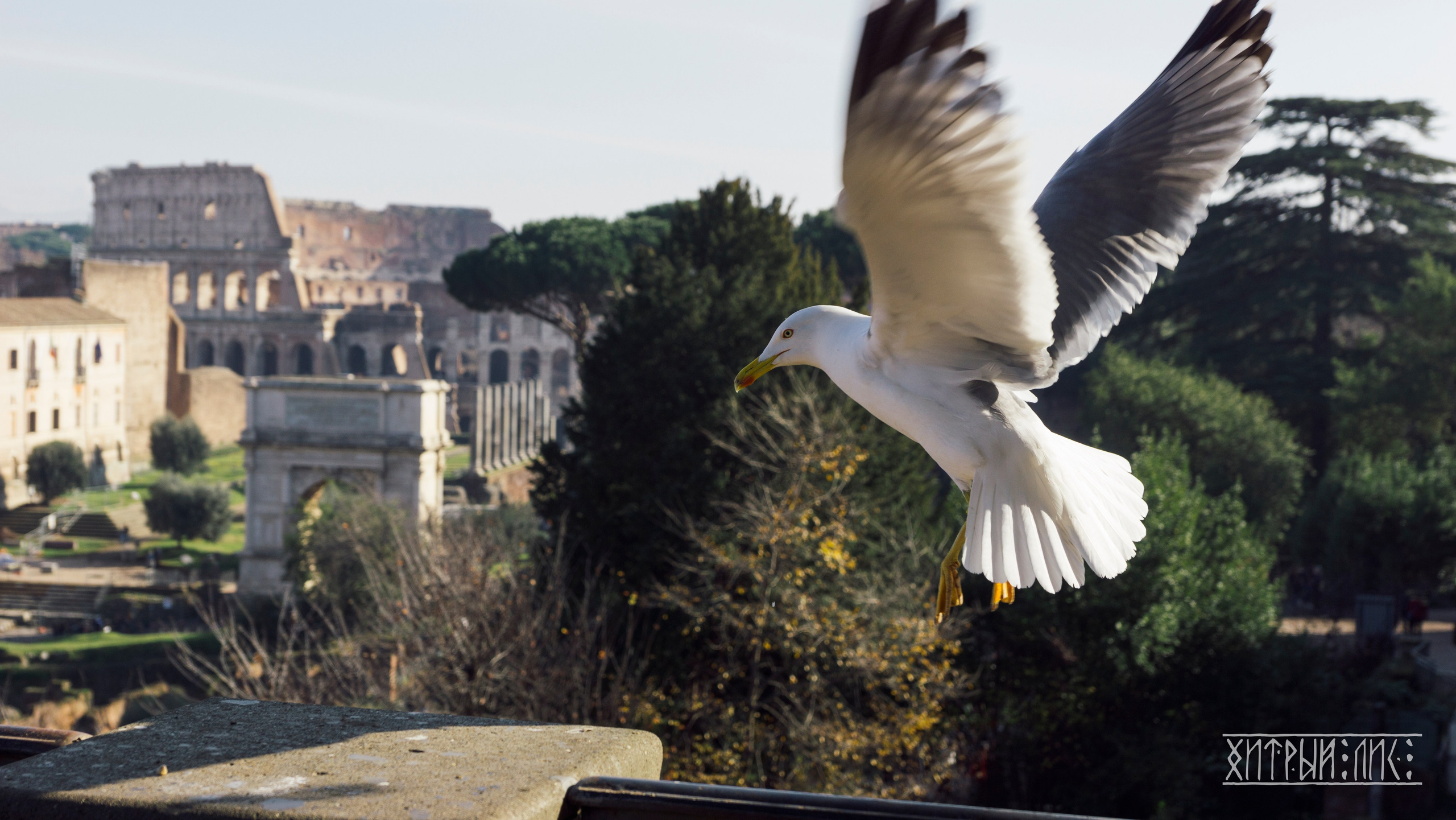 Рим. Фотограф-путешественник Самойлов Максим «Sly Fox»