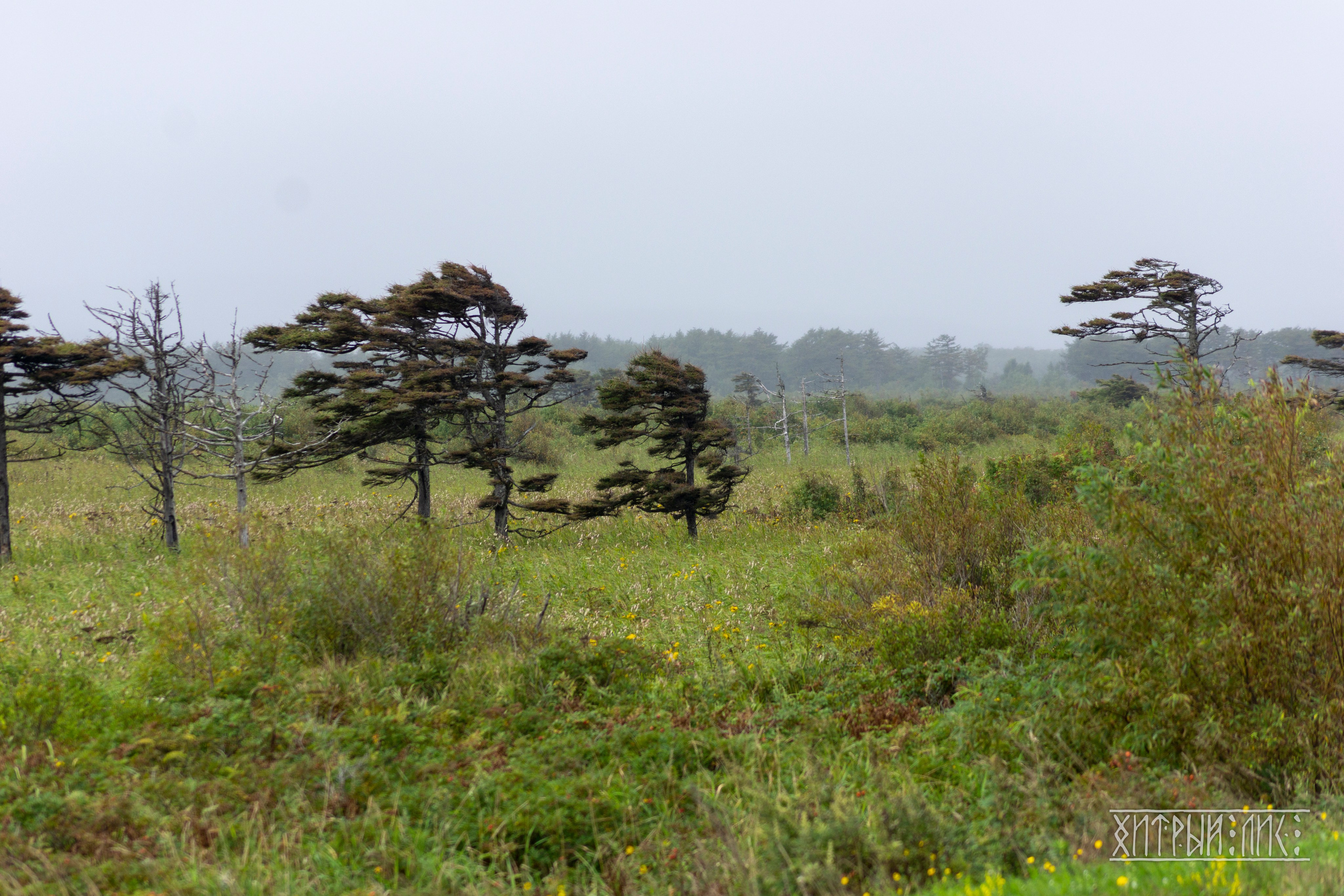 Сахалин. Фотограф-путешественник Самойлов Максим «Sly Fox»