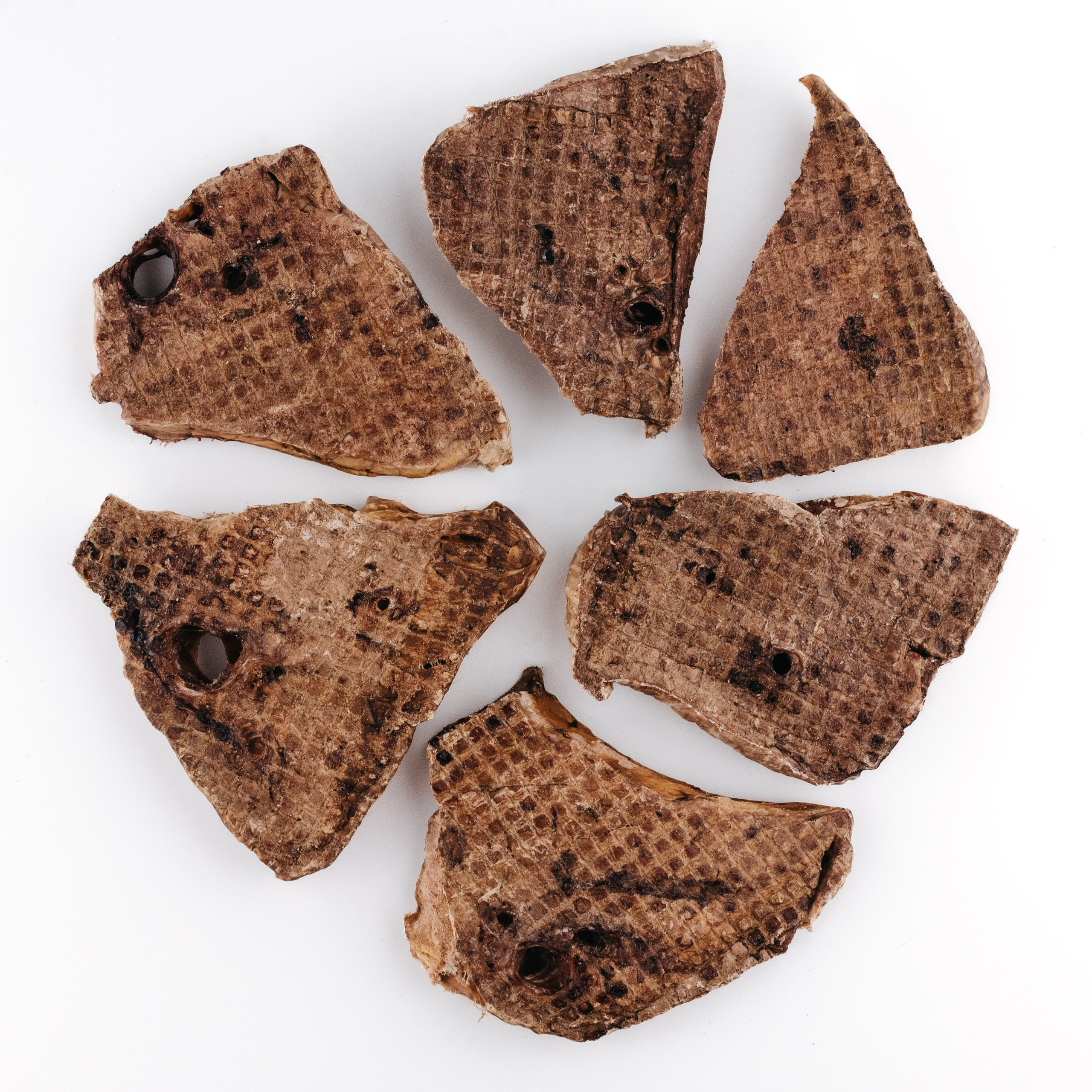 Dog Bone лакомства. Фотограф-анималист Валерия, Москва, Мытищи