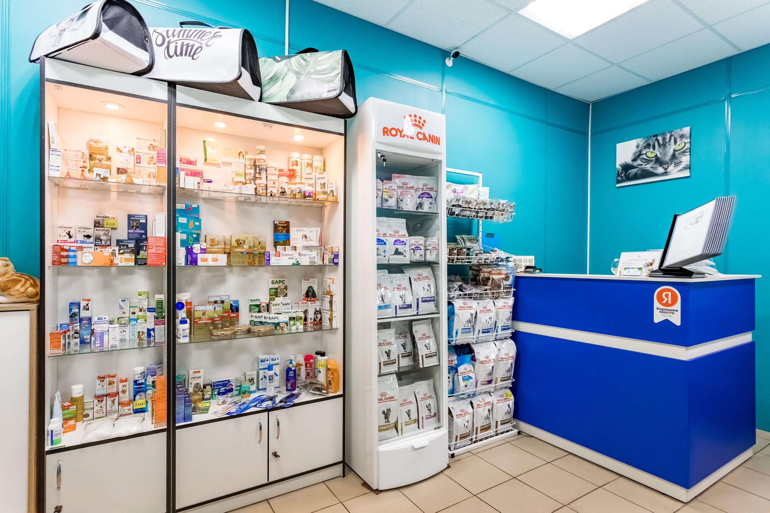 Интерьерная съемка для ветеринарной клиники Прив-вет. Интерьеры, Контент, Портреты | Фотограф в Москве Дани Терно