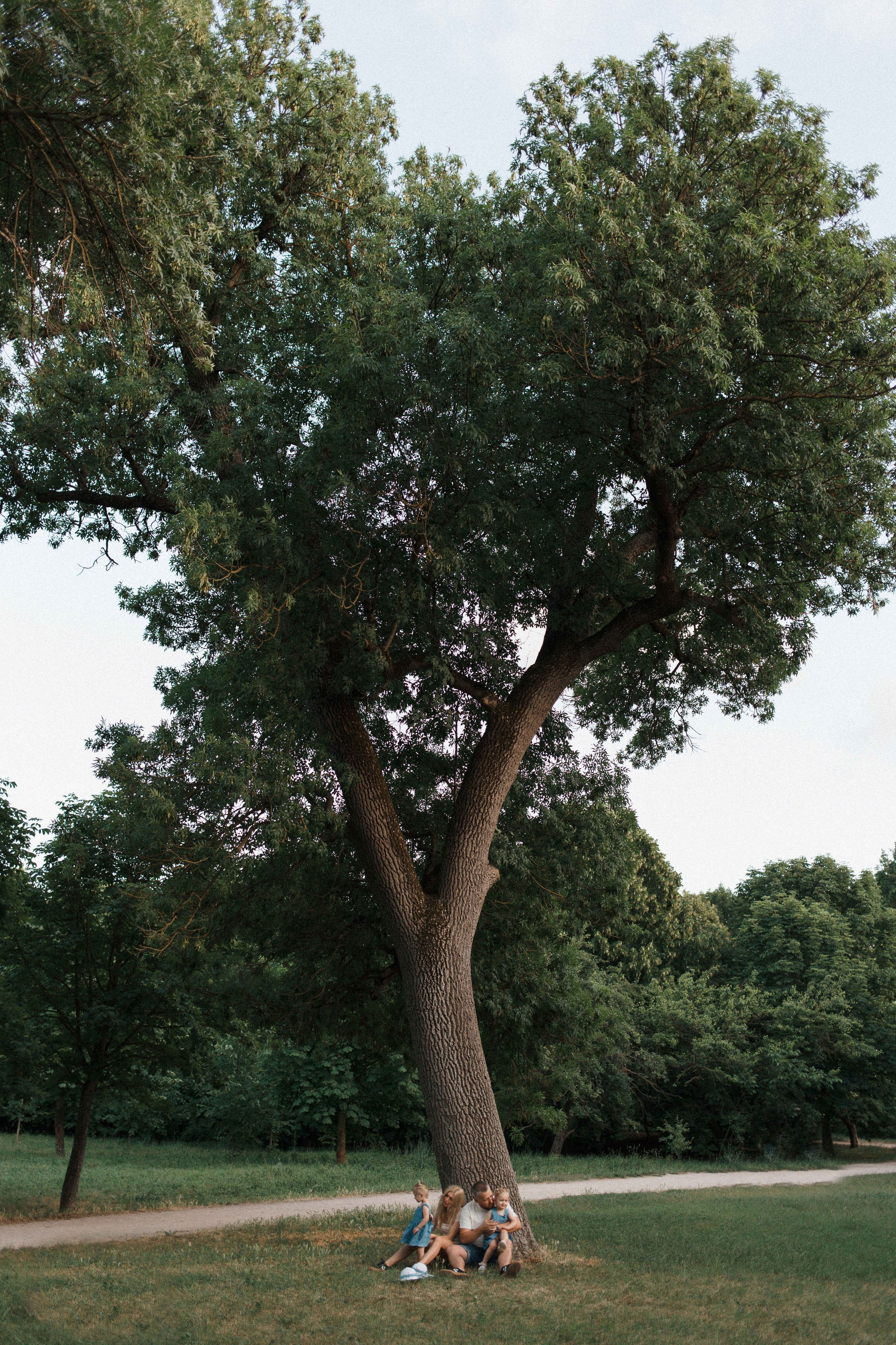 Парк, вечер). Свадебный фотограф Мироманов Николай в Крыму