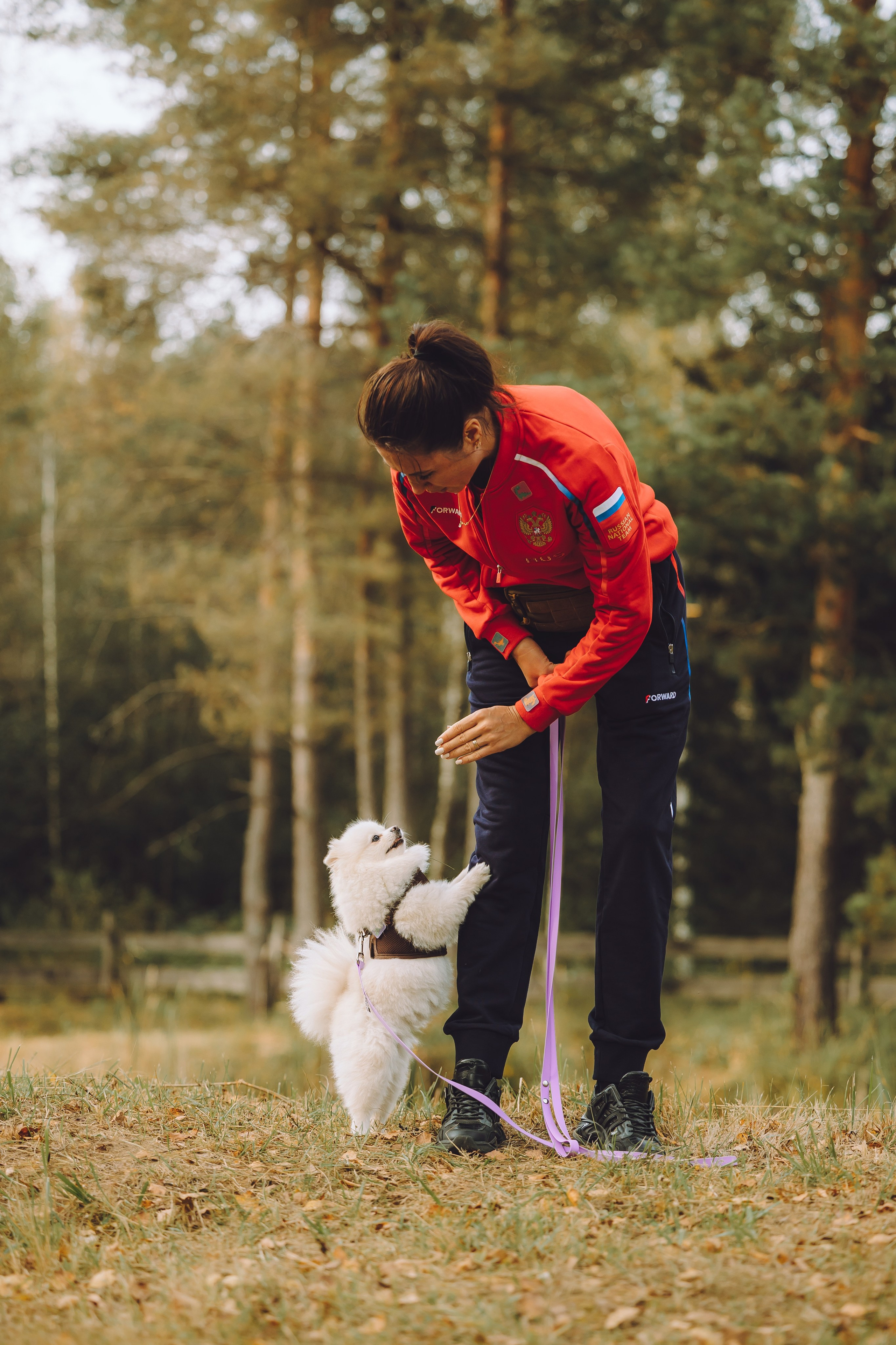 Выездной дог-тренинг от школы «Шерсть имею», Тованово