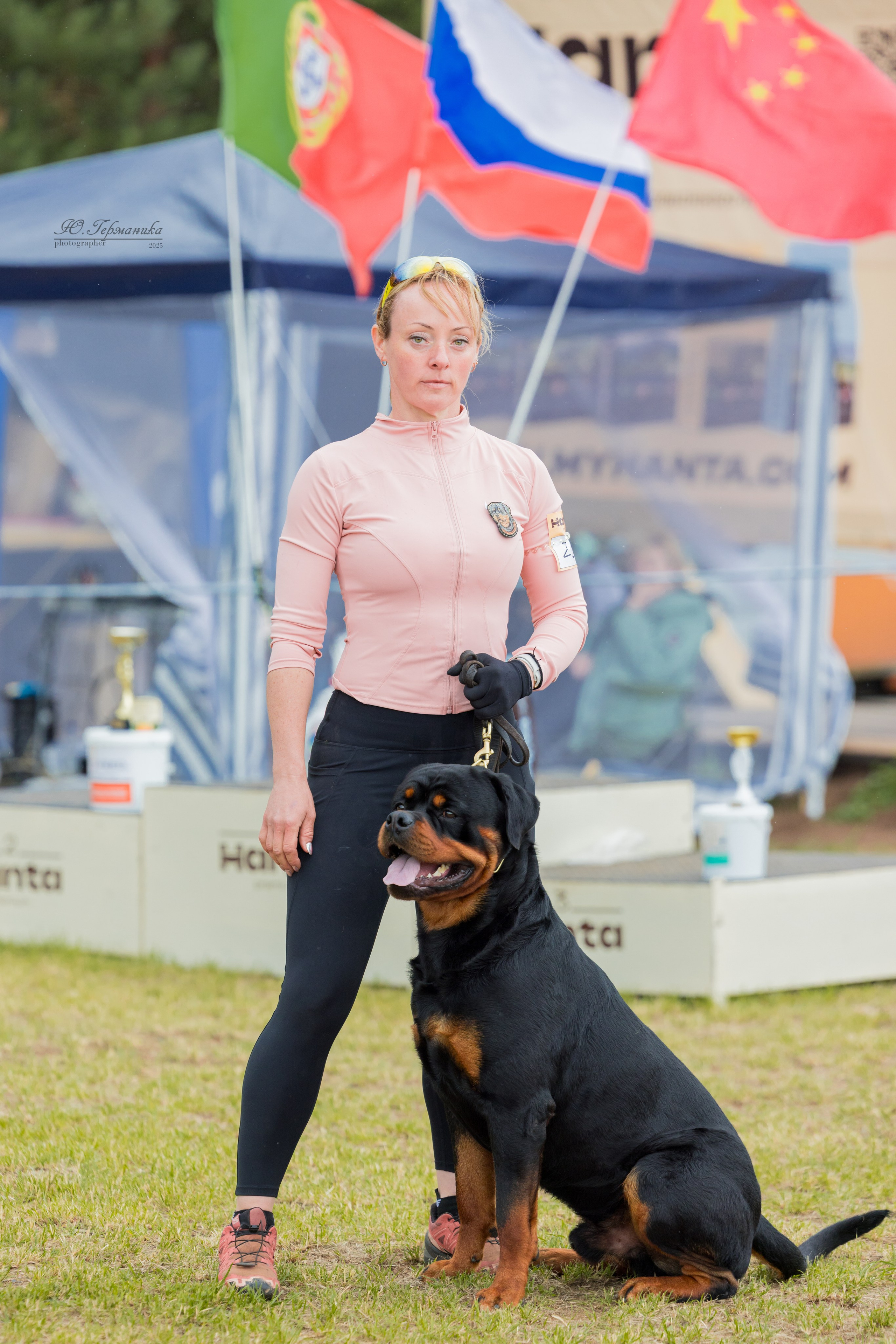 Тверь ротвейлеры 5-6.07.2025. Фотограф-анималист Юлия Германика