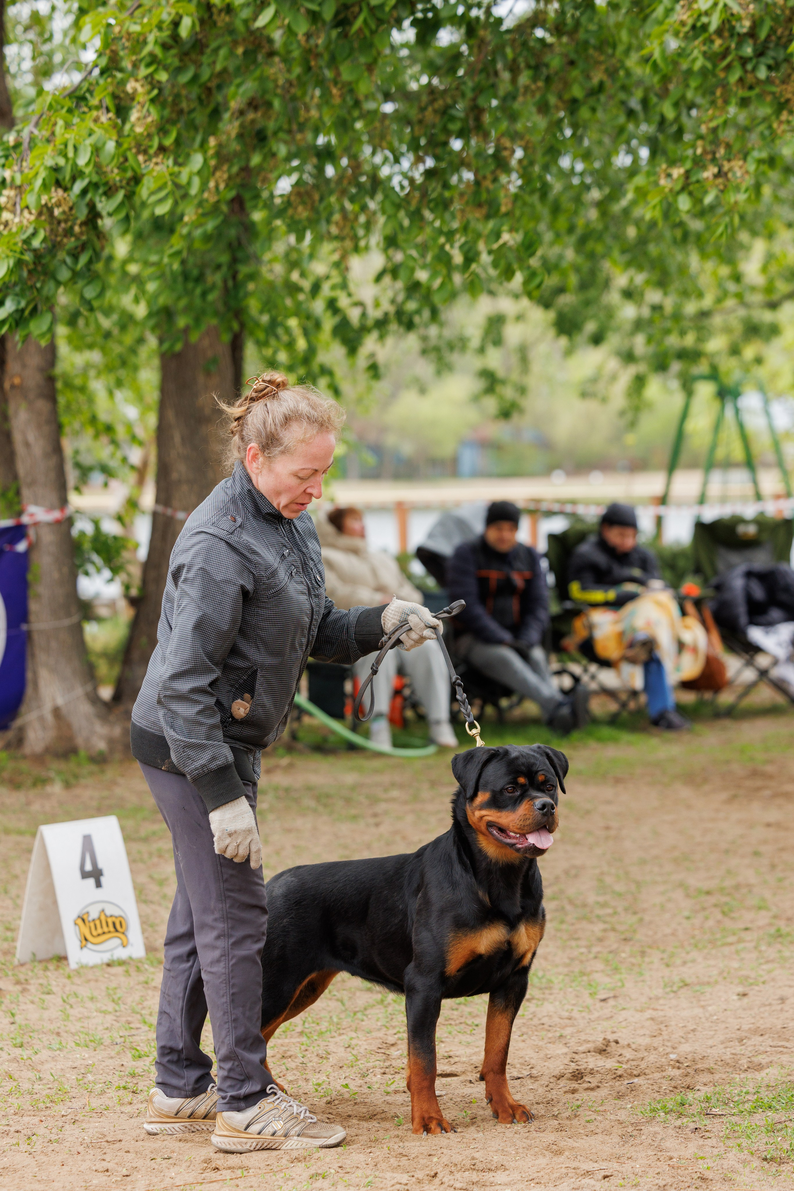 Саратов моно ротвейлеров 26-27.04.2025. Фотограф-анималист Юлия Германика