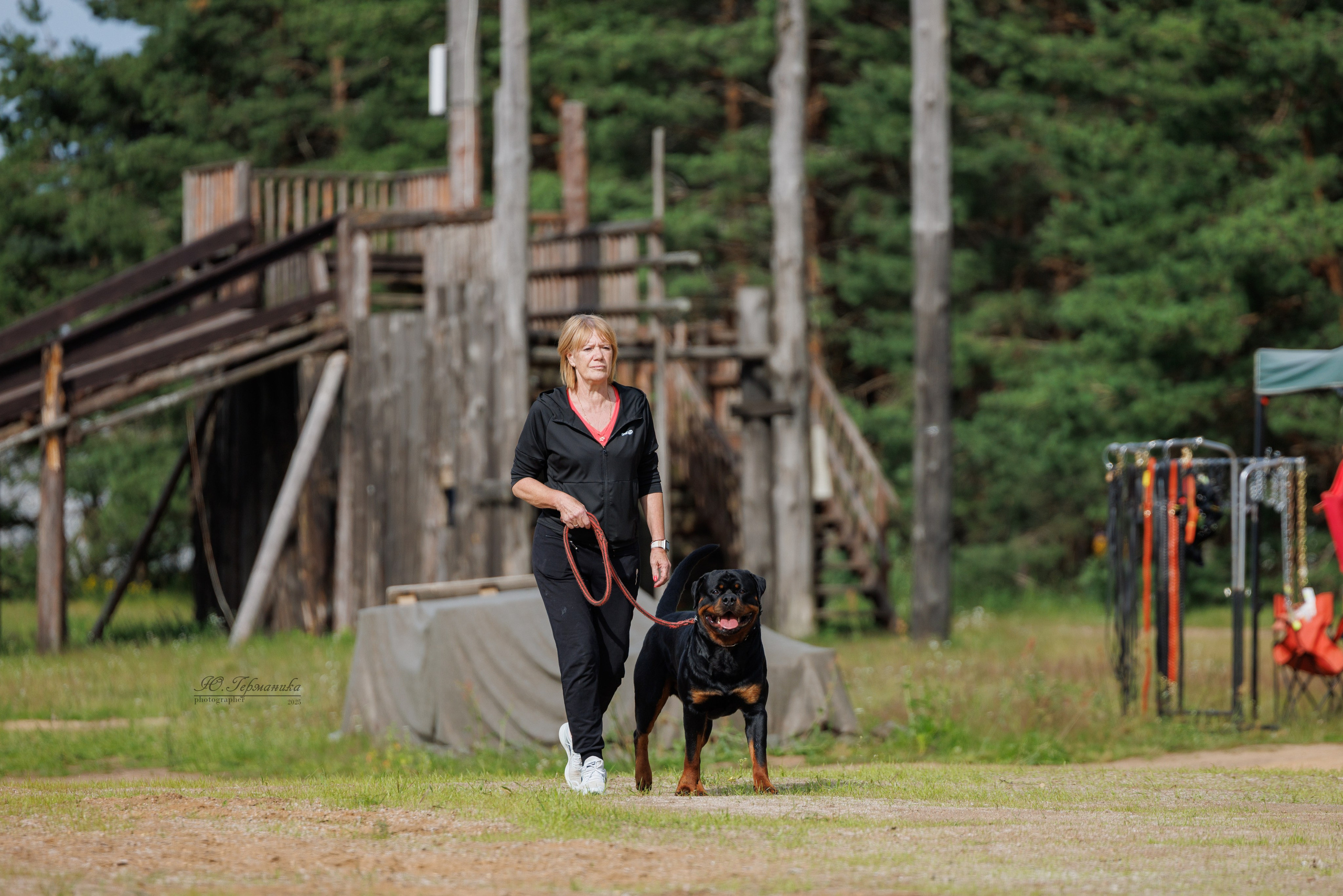 Тверь ротвейлеры 5-6.07.2025. Фотограф-анималист Юлия Германика