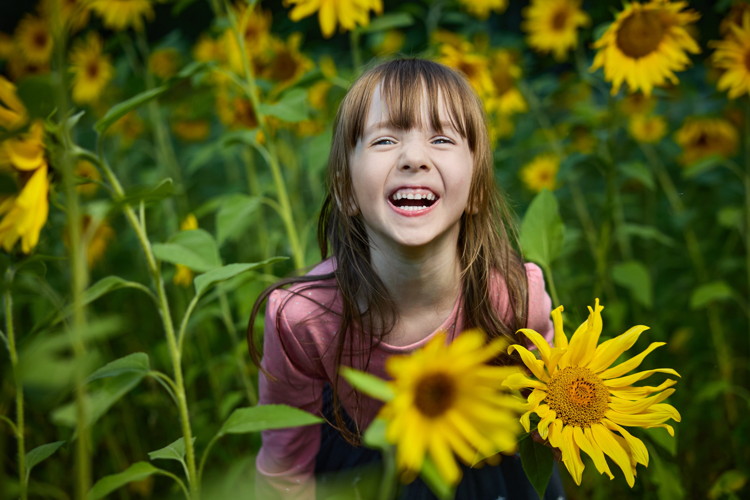 Подсолнухи. Разножанровый Фотограф в Омске Артём Руднев