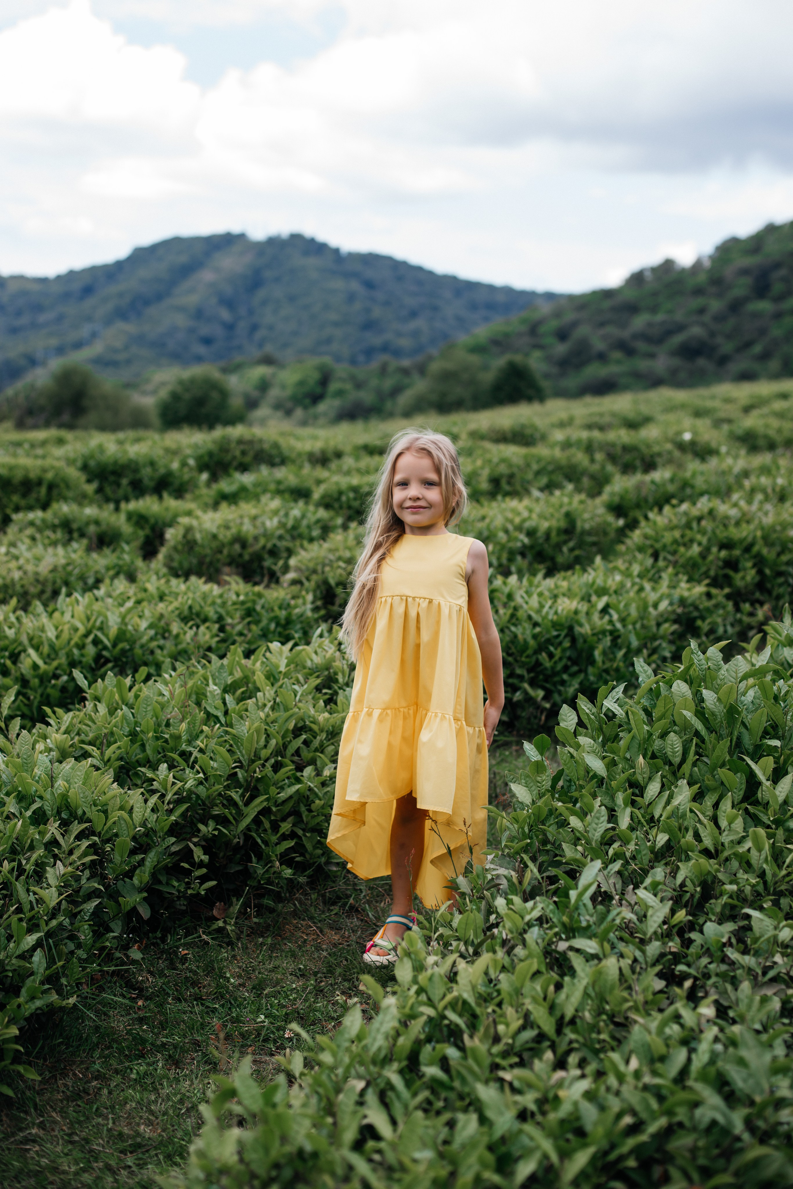 Tea plantation. Efimova Model Agency