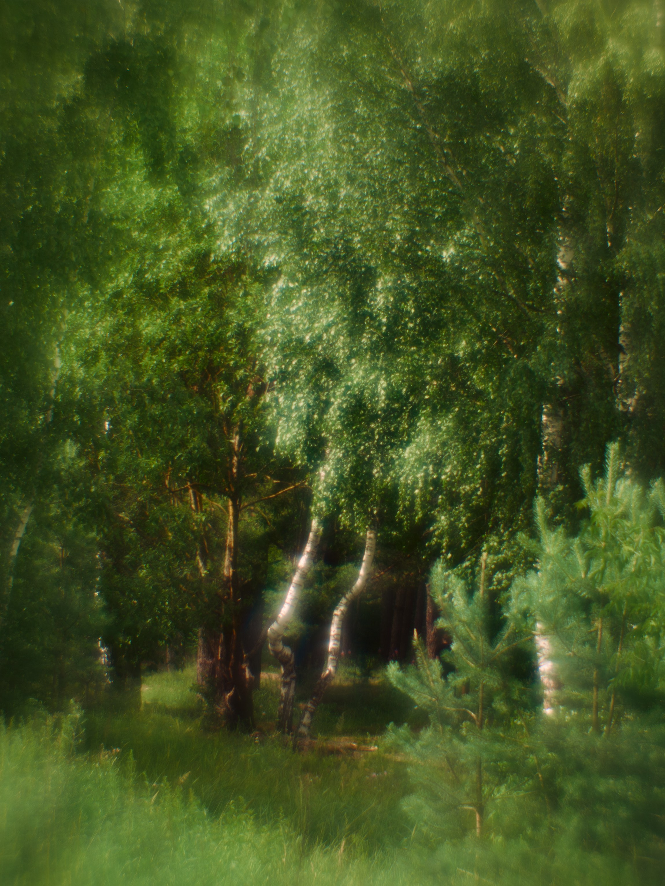 Фотограф Юлия Глазкова