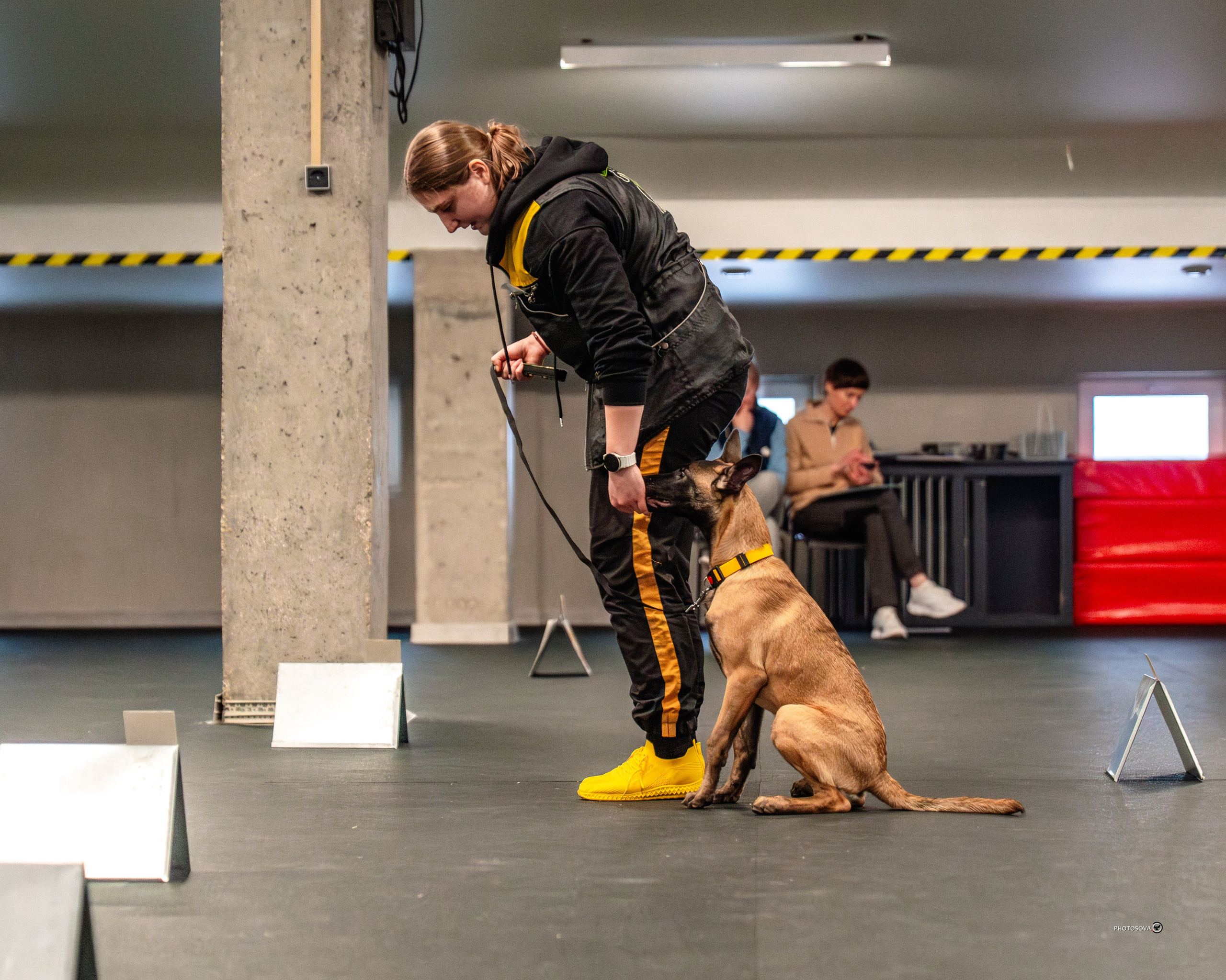 ТЫ И Я (соревнования по ралли-обидиенс). Фотограф-анималист, семейный фотограф в Москве и Подмосковье. Фотосъёмка кинологических дисциплин
