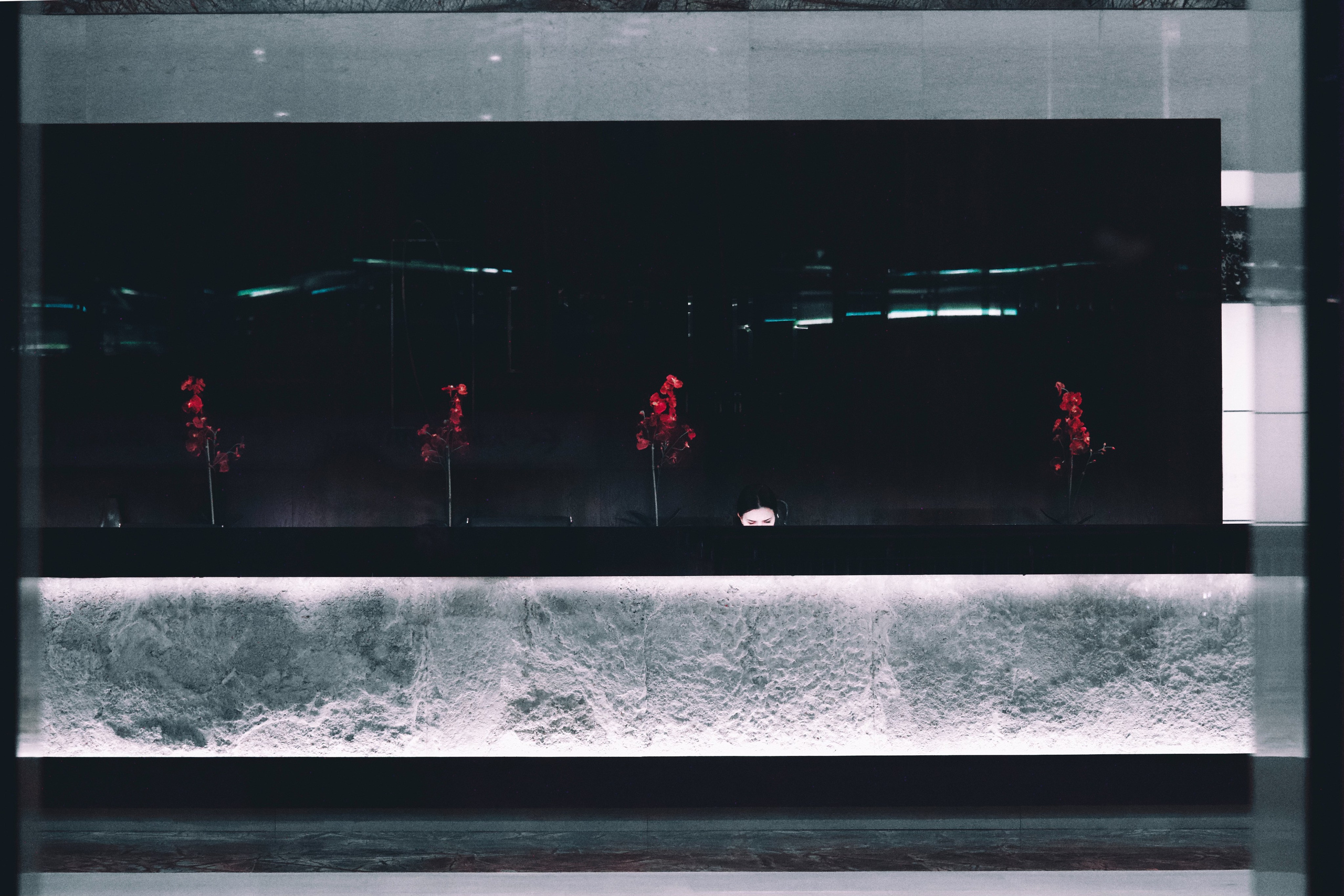 ресепшн с кустами и лицо девушки в москве сити