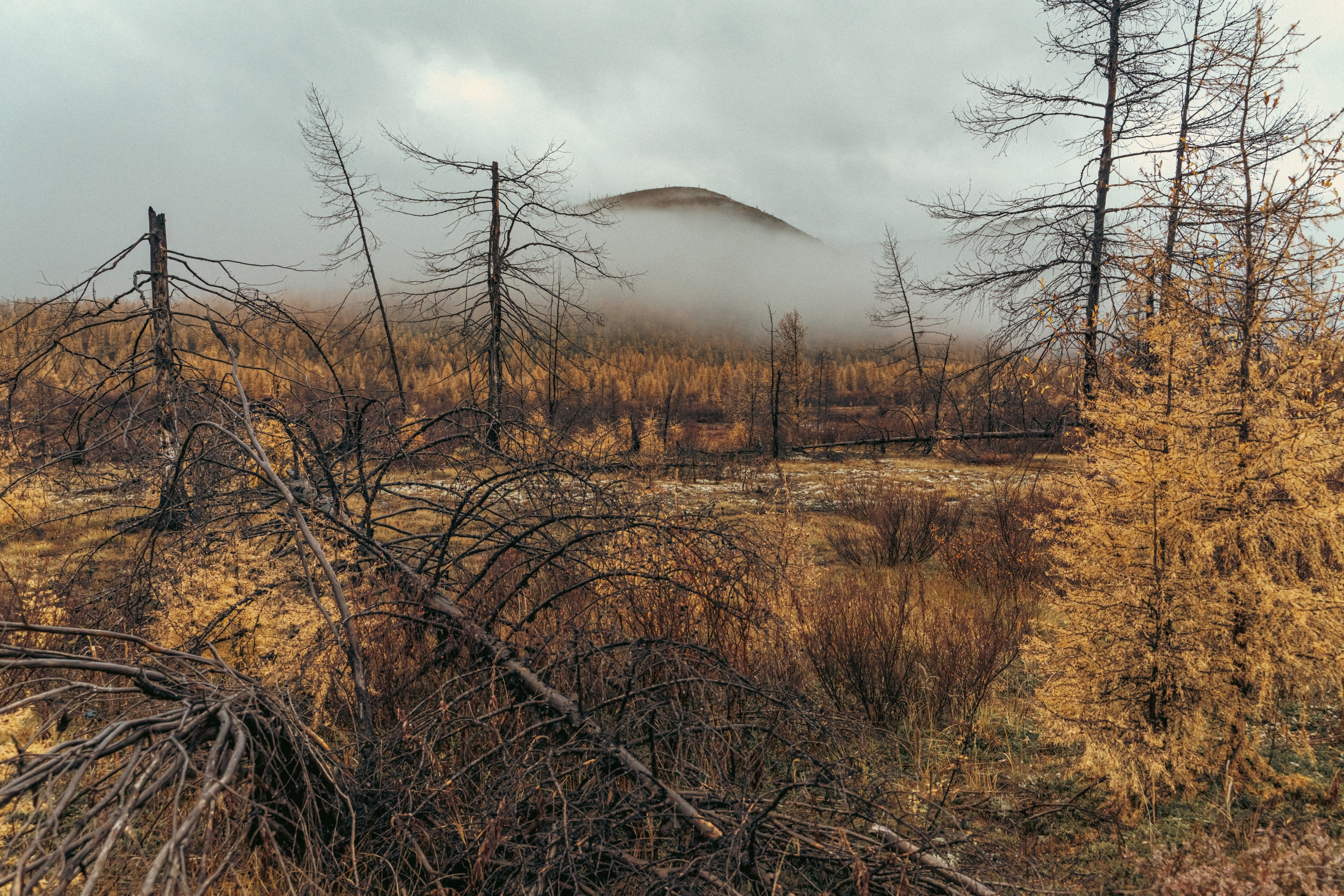Планета Колыма. Элина Гусарова
