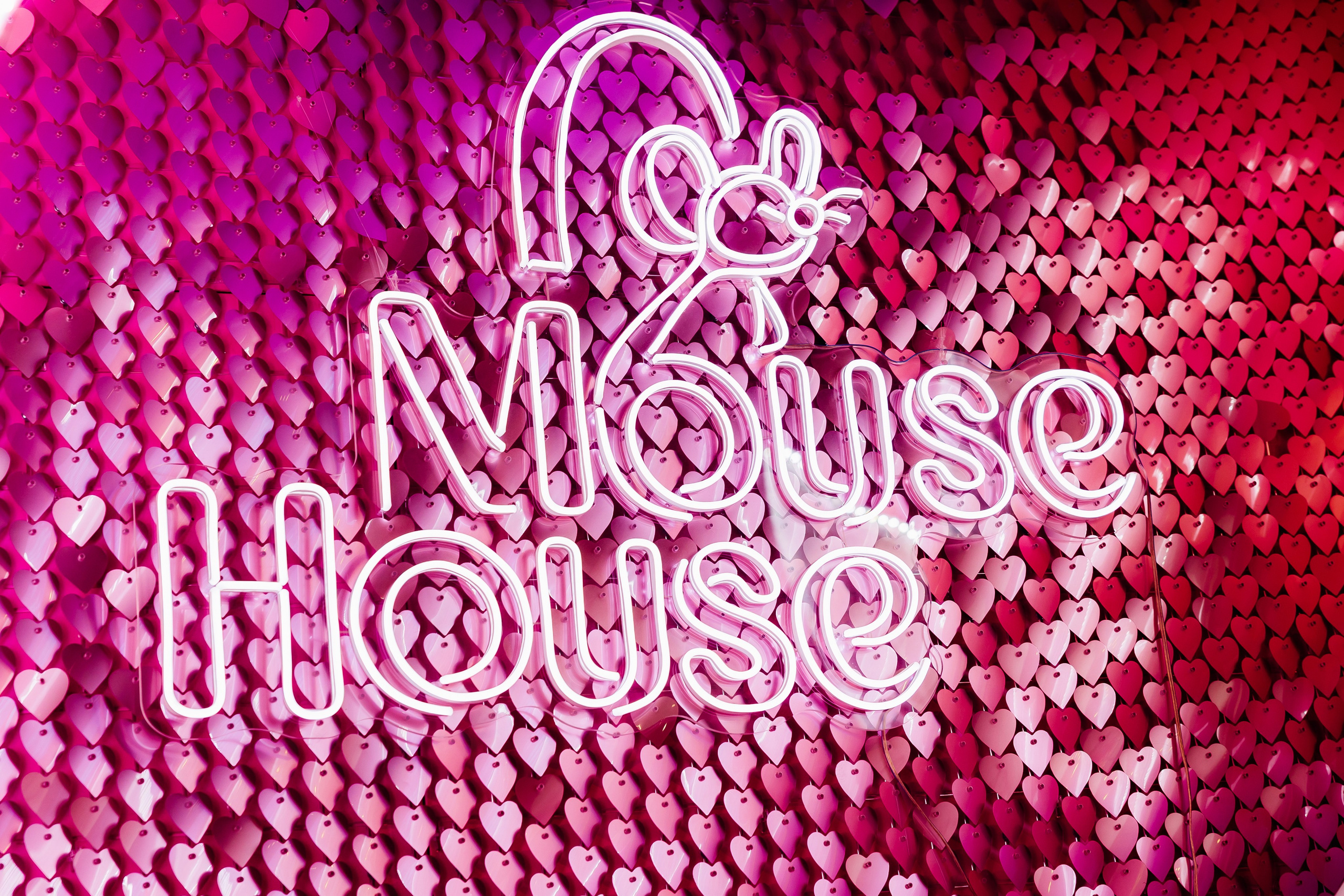 События. Фотограф в Санкт-Петербурге Кирюшенков Андрей