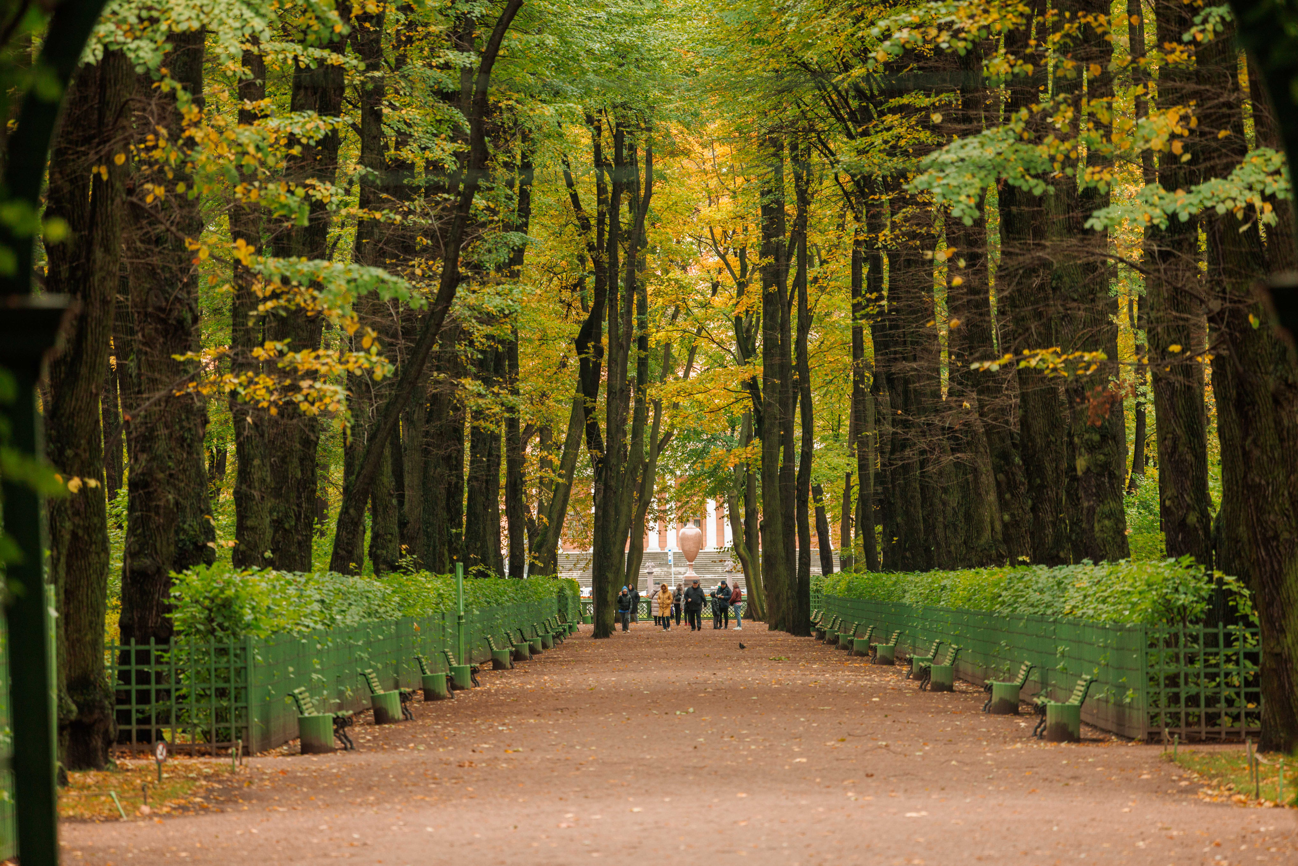 Летний сад. Фотограф Балаев Михаил