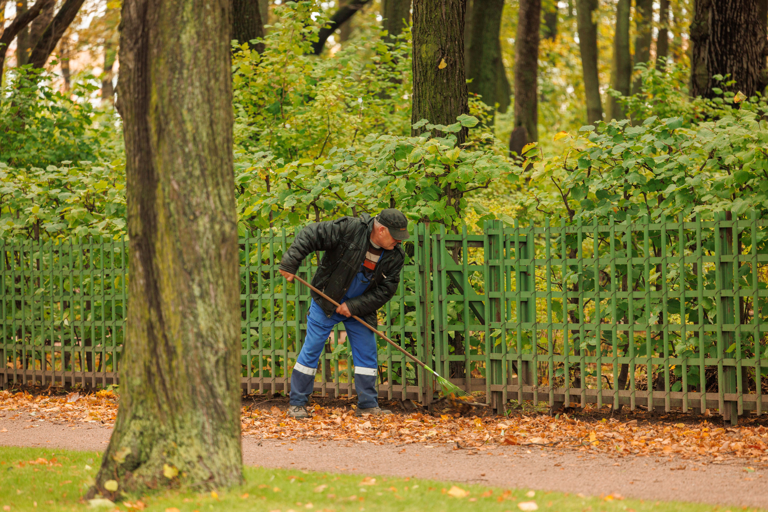 Летний сад. Фотограф Балаев Михаил