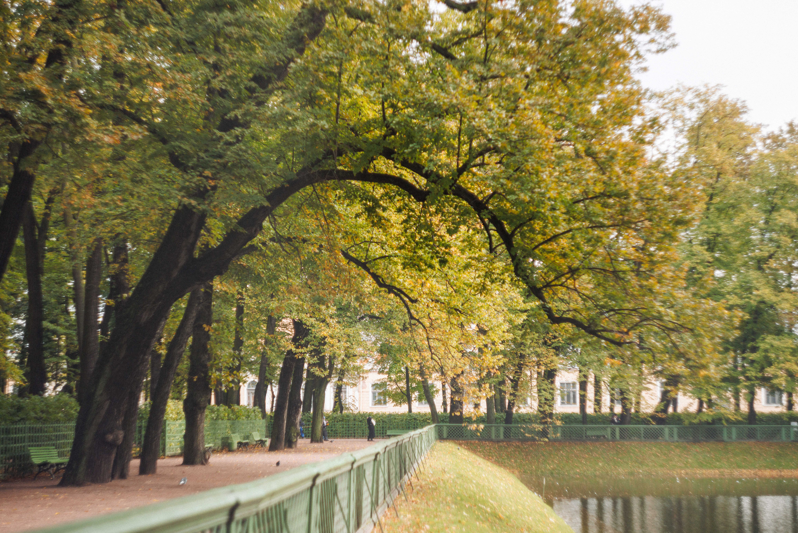 Летний сад. Фотограф Балаев Михаил