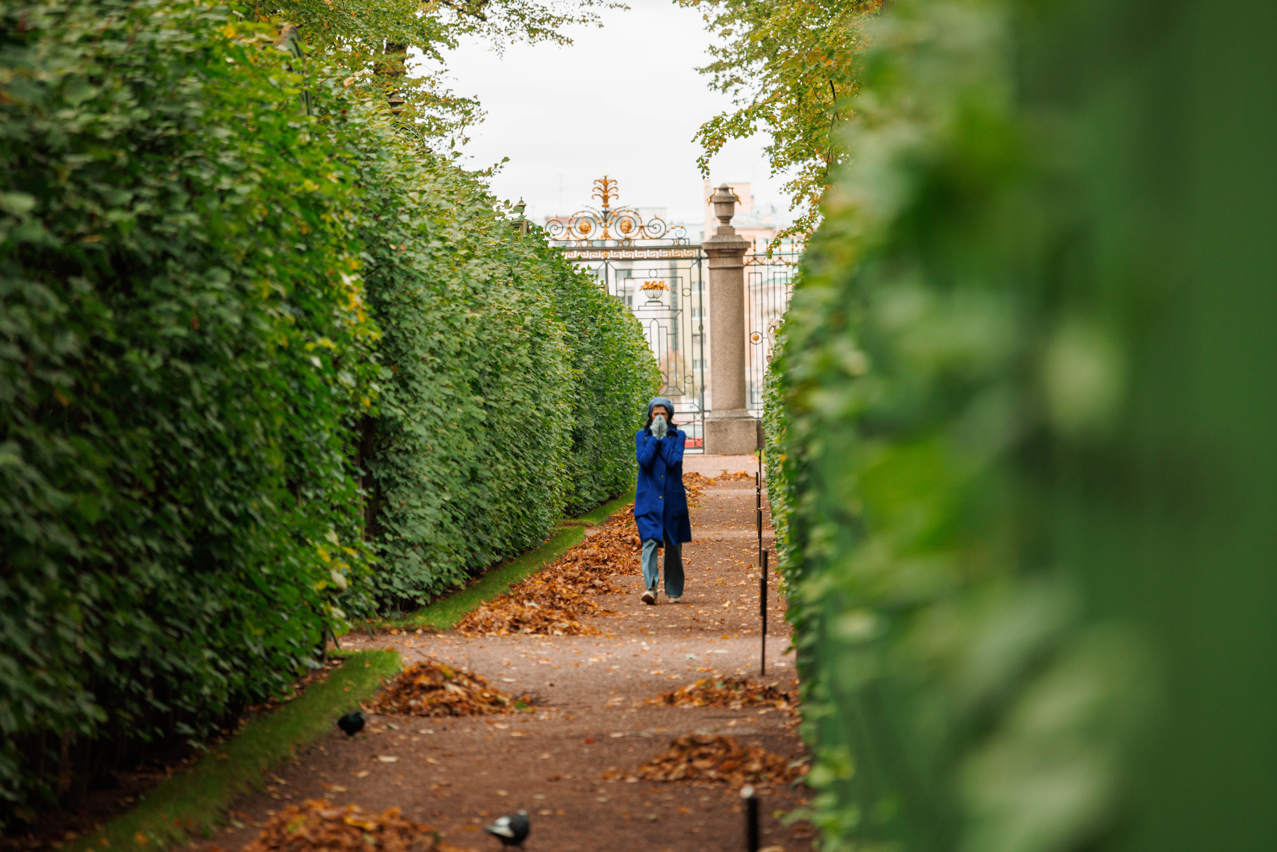 Летний сад. Фотограф Балаев Михаил