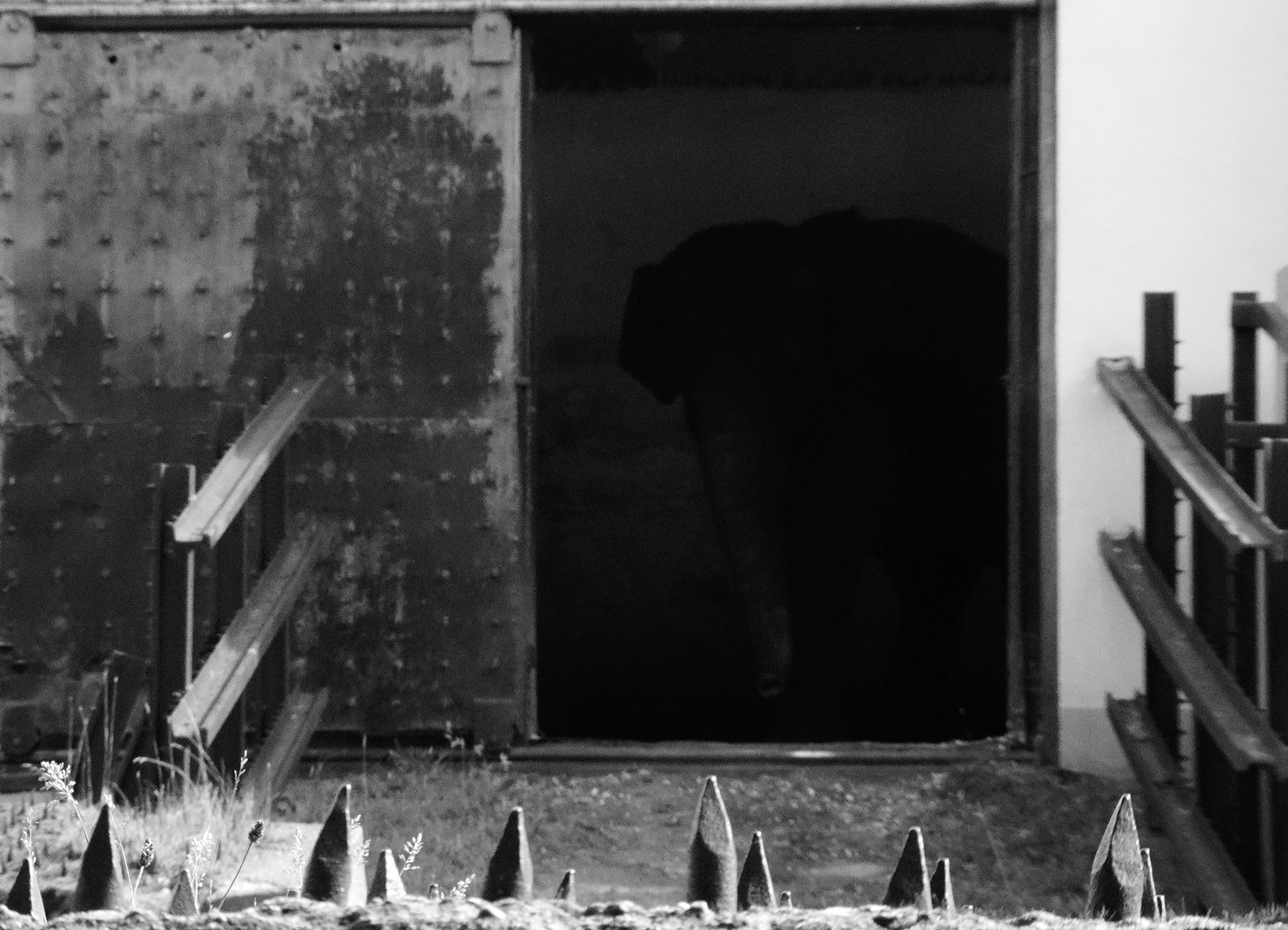 ПРЕГОЛЯ НЕ РЕКА. Художественная группа «Нежные Бабы»