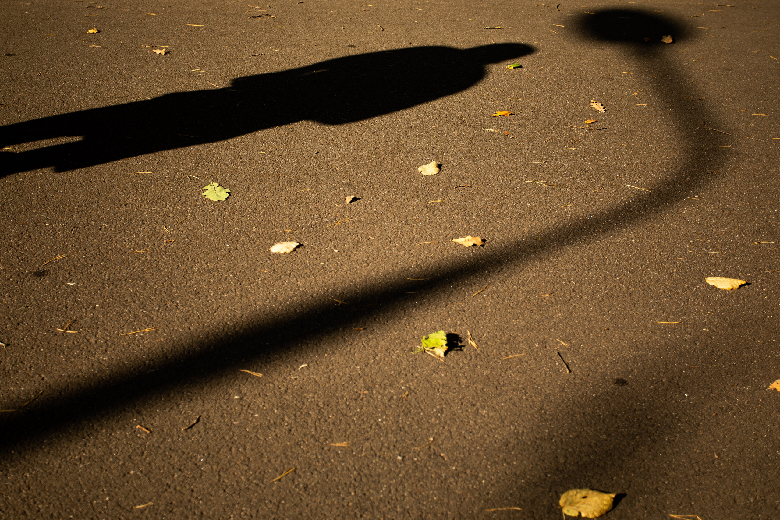 Кросс России. Спортивный фотограф — Никита