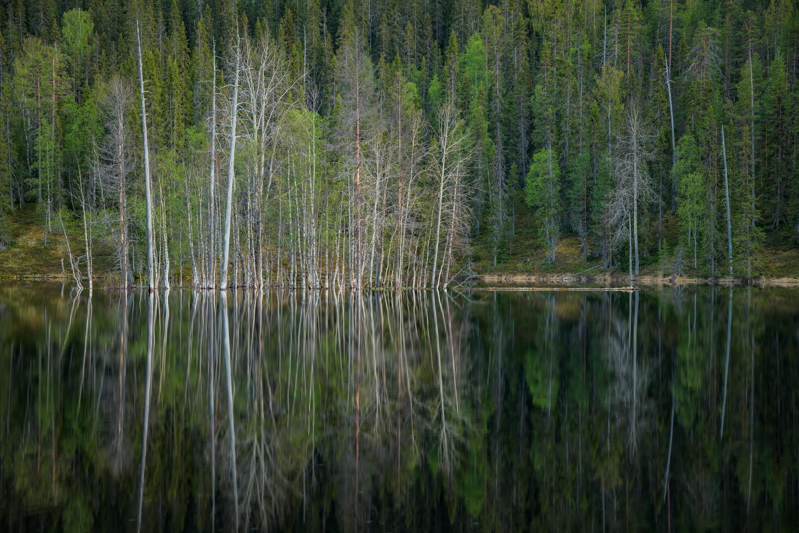 Лето. Северные Ночи