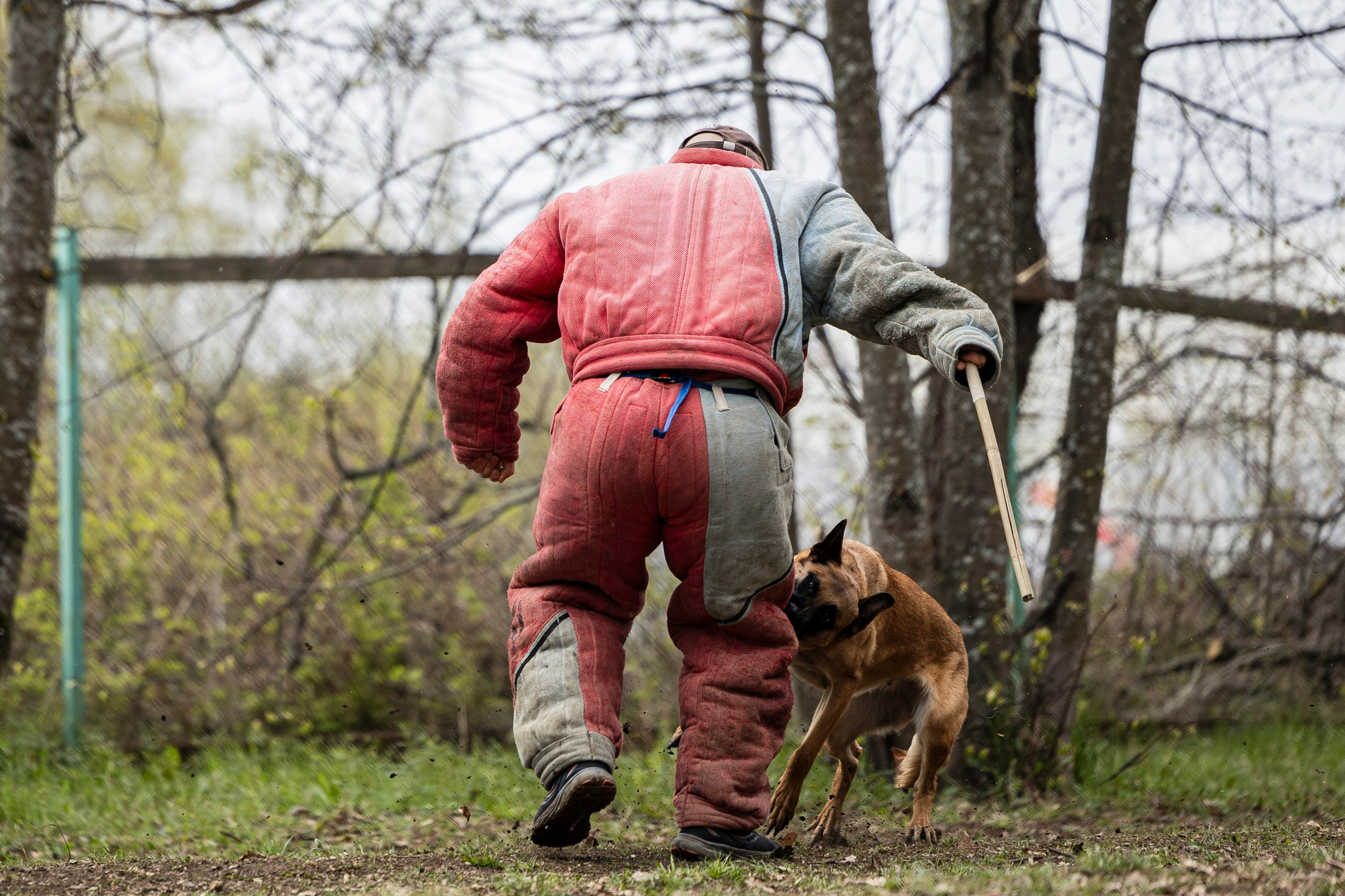 Квалификационные состязания по мондьорингу г. Вологда 11.05.24. Фотограф-анималист Анна Маринич