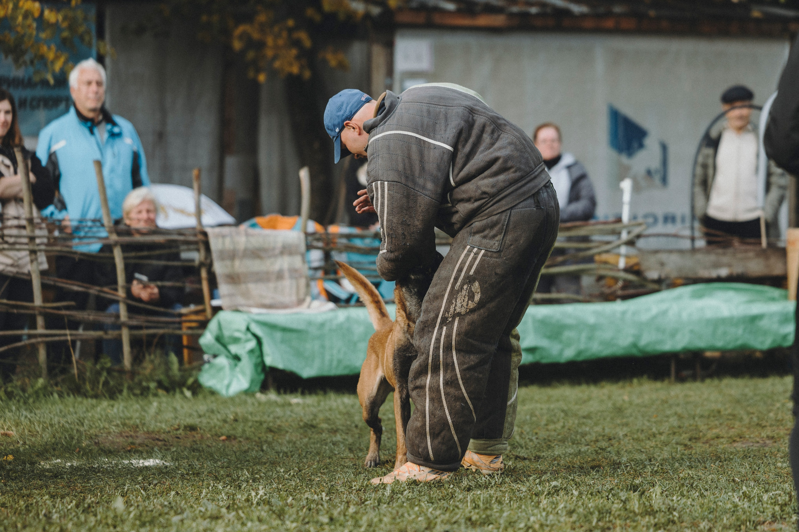 Испытания по мондьорингу г. Пушкин 29.09.2024. Фотограф-анималист Анна Маринич