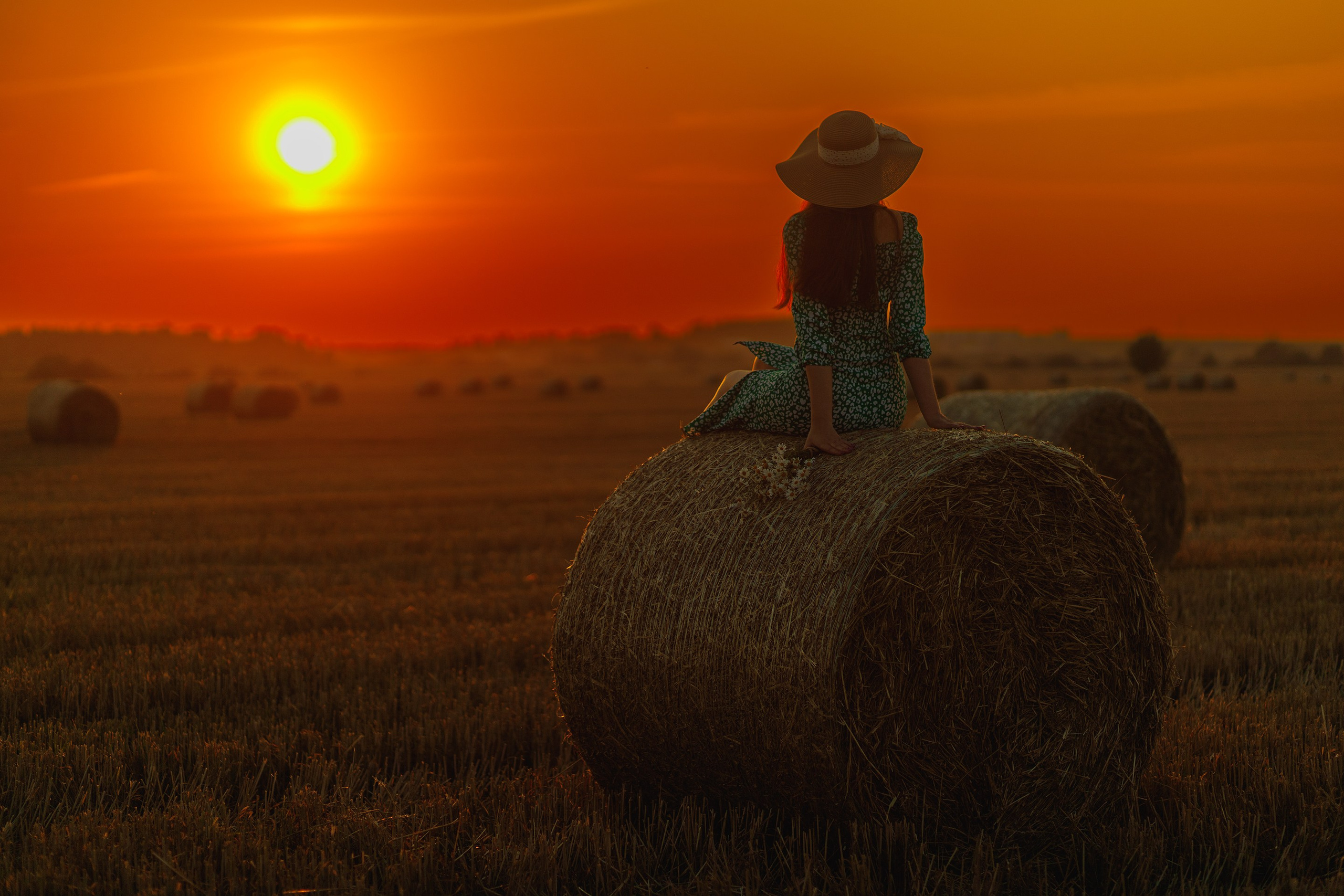 Творчество. 2323.рф, 2323