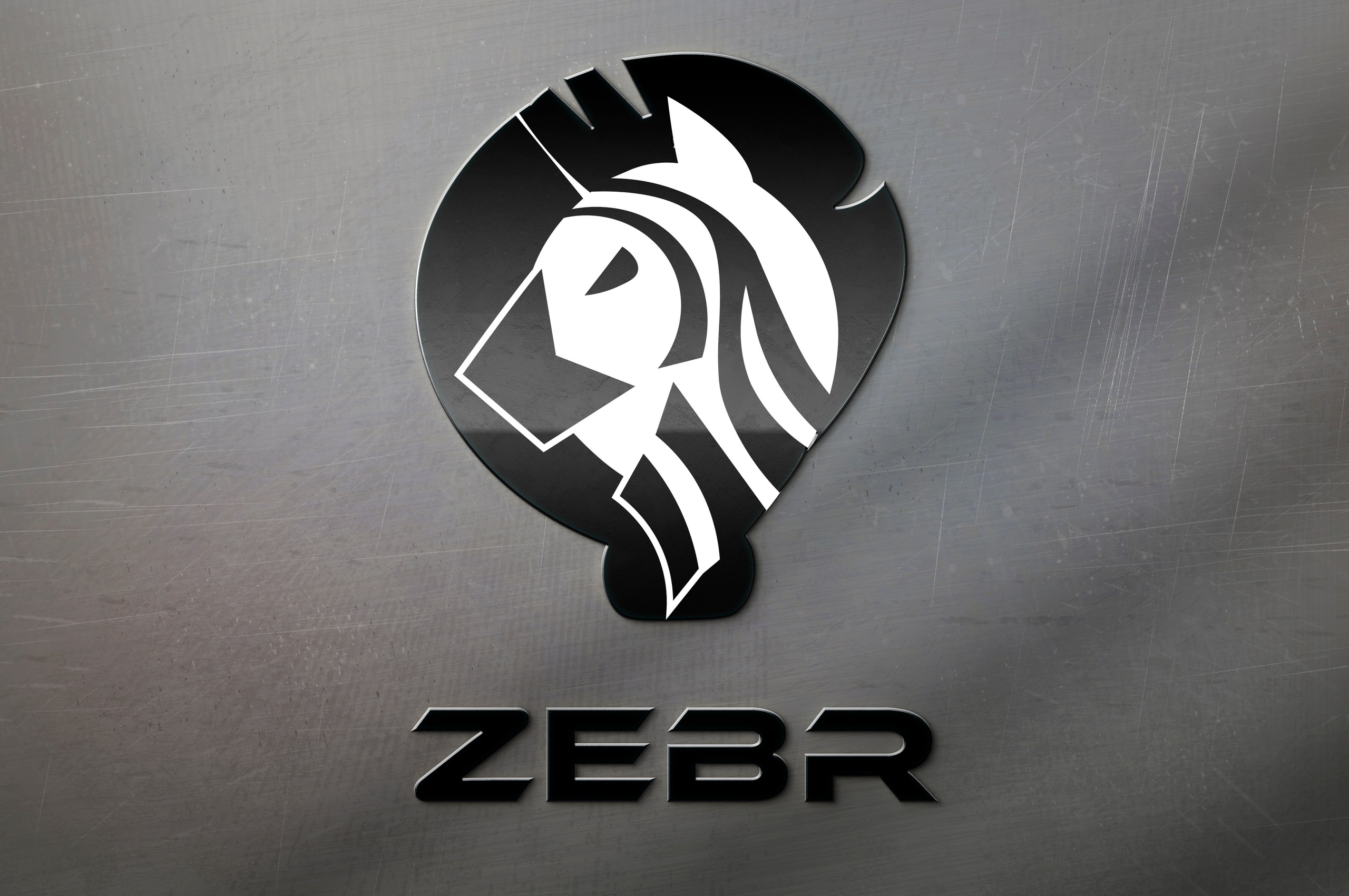 мокап логотип для эвакуатора-частника  "Zebr"