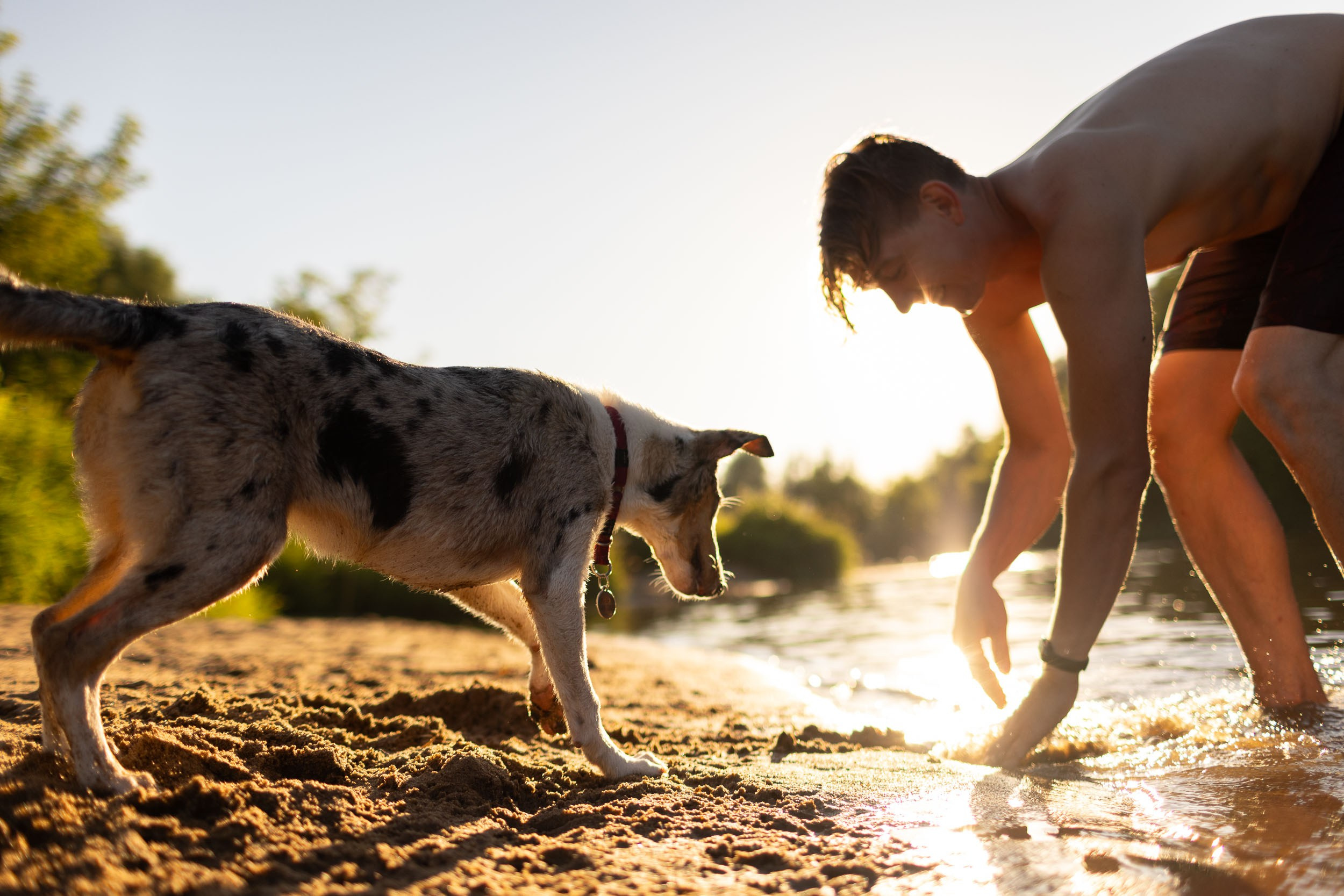 Купание щенков в стиле лайфстайл. Фотограф-анималист в Москве и Московской области Татьяна Фролова