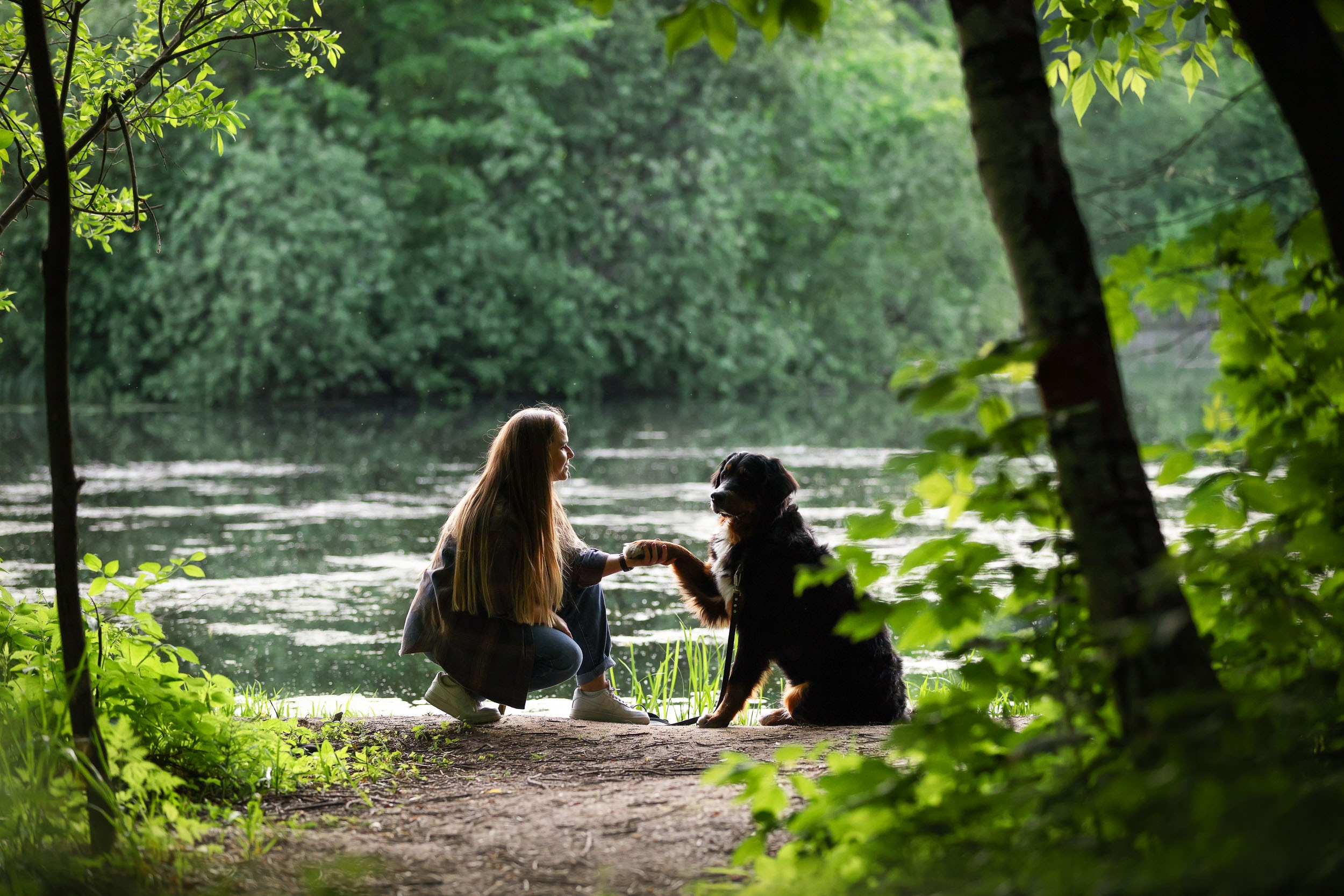 Фотопрогулка для четырех человек с собаками. Фотограф-анималист в Москве и Московской области Татьяна Фролова