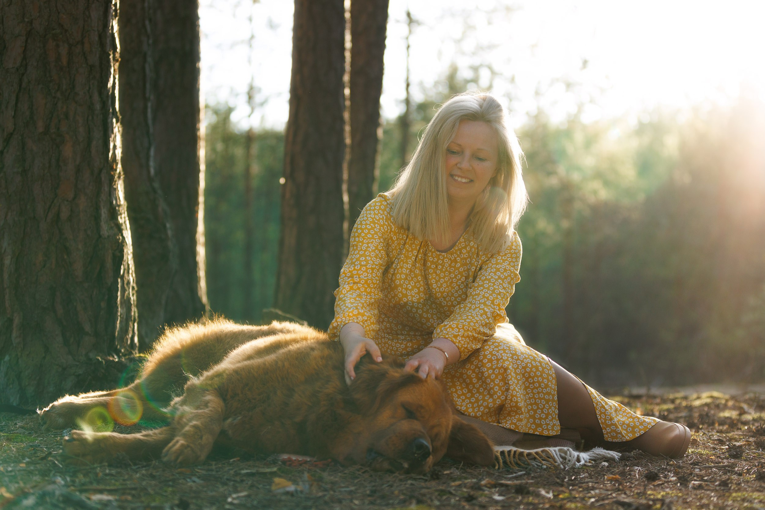 Фотосессия с тибетскими мастифами и бишон фризе. Фотограф-анималист в Москве и Московской области Татьяна Фролова