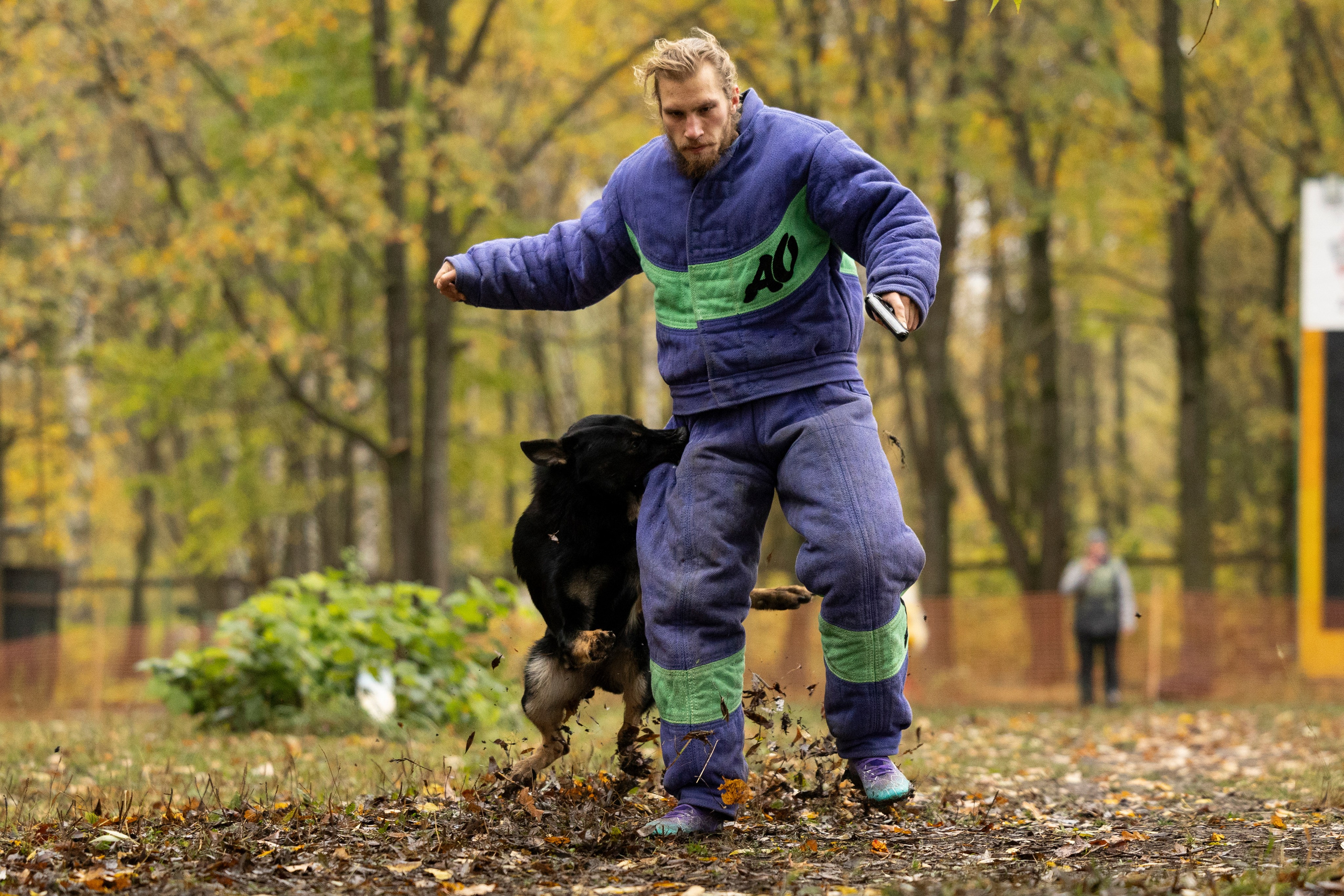 Соревнования по Мондьорингу г. Вологда. Фотограф-анималист Анна Маринич