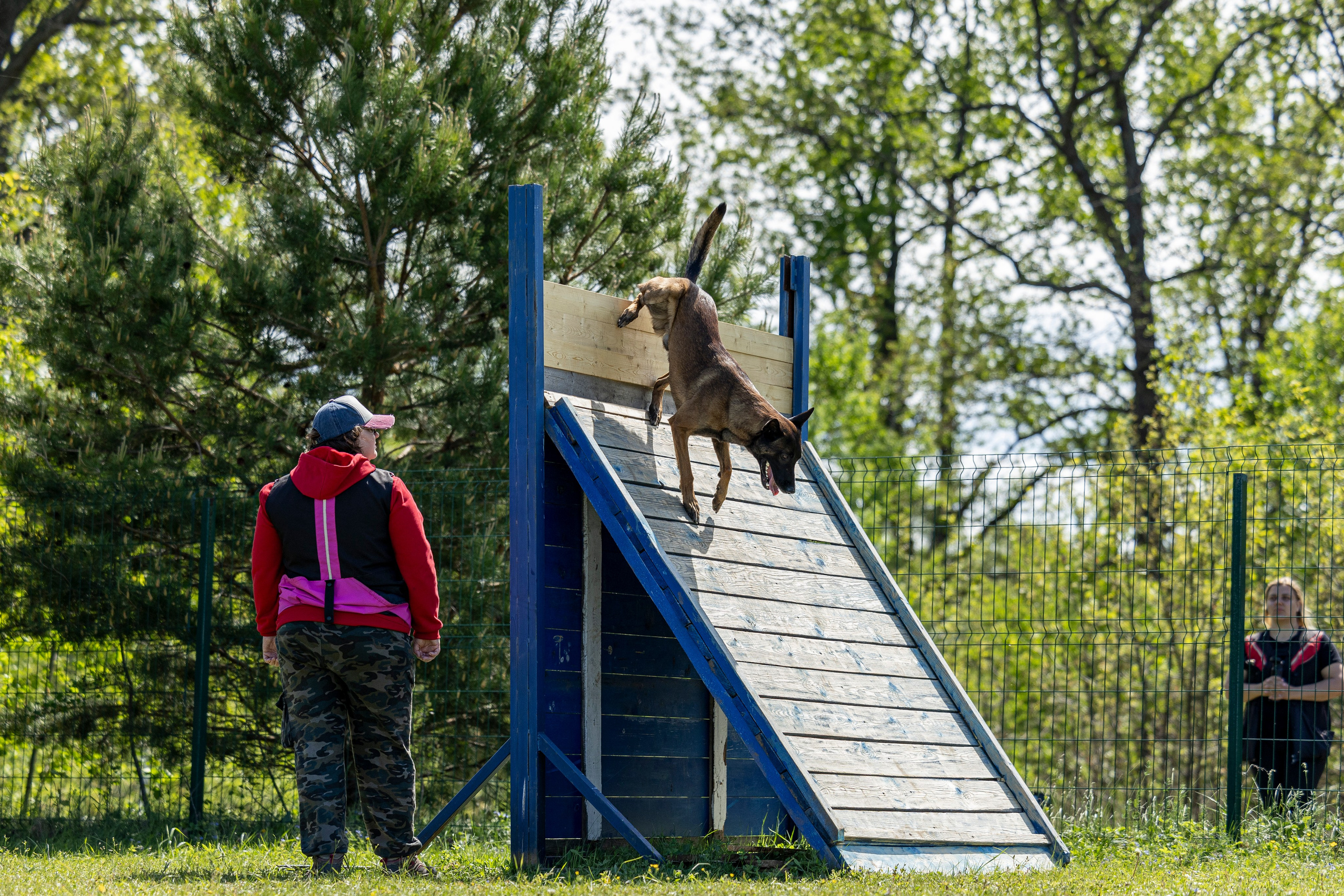 Испытания по мондьорингу в Нижнем Новгороде. Фотограф-анималист Анна Маринич