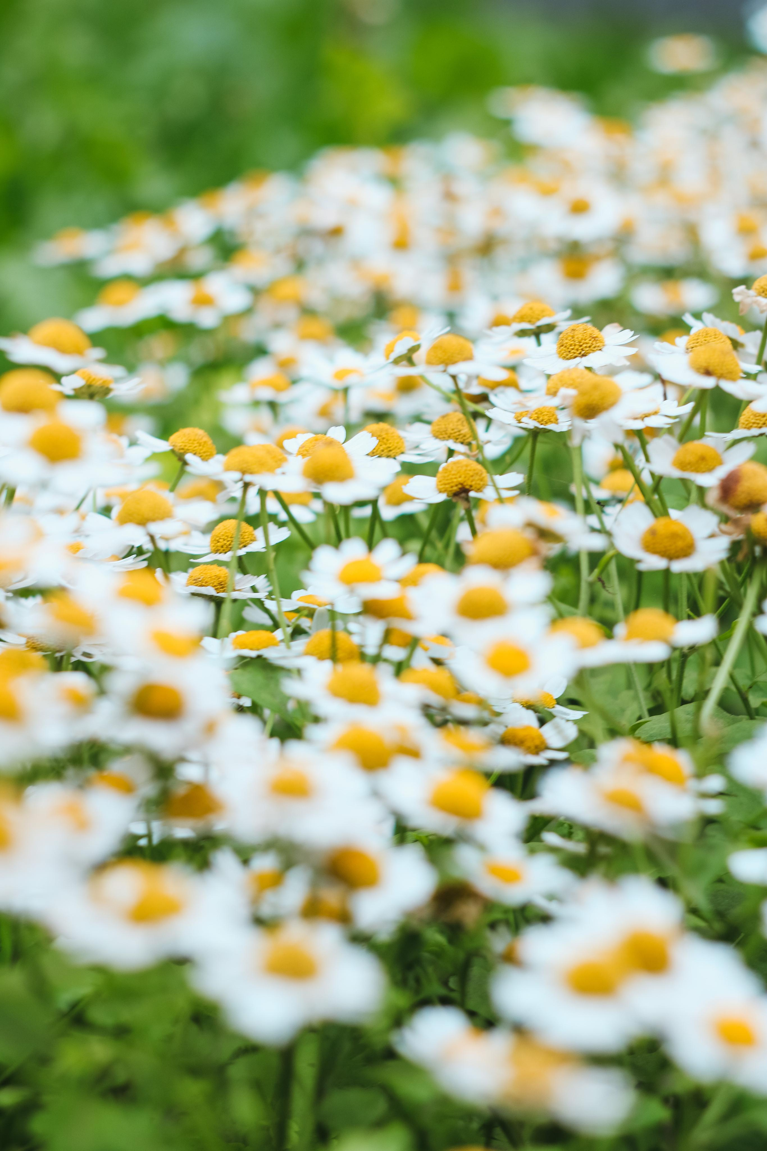 Фото для интерьера. Danna Dark. Фотограф | Красноярск