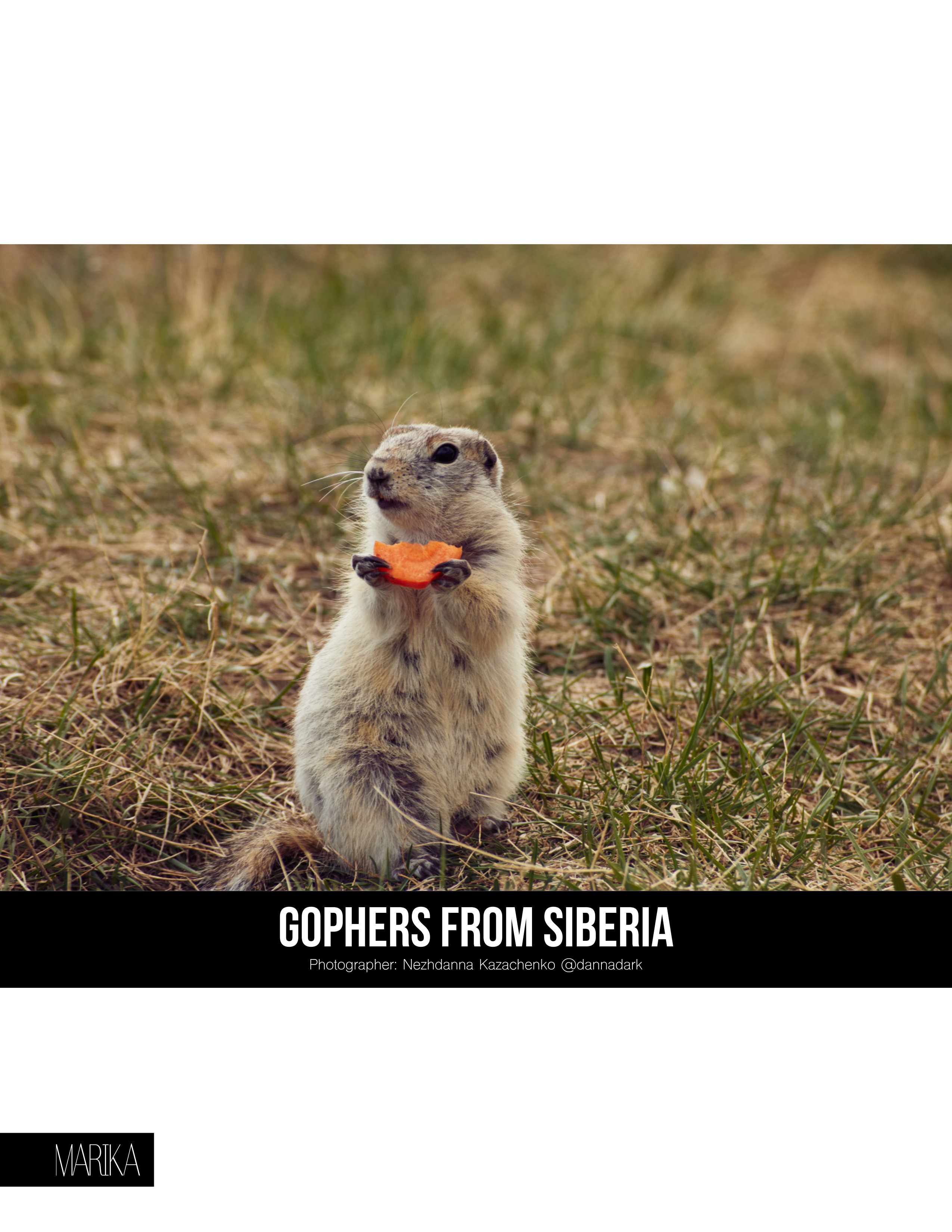 Публикации. Danna Dark. Фотограф | Красноярск