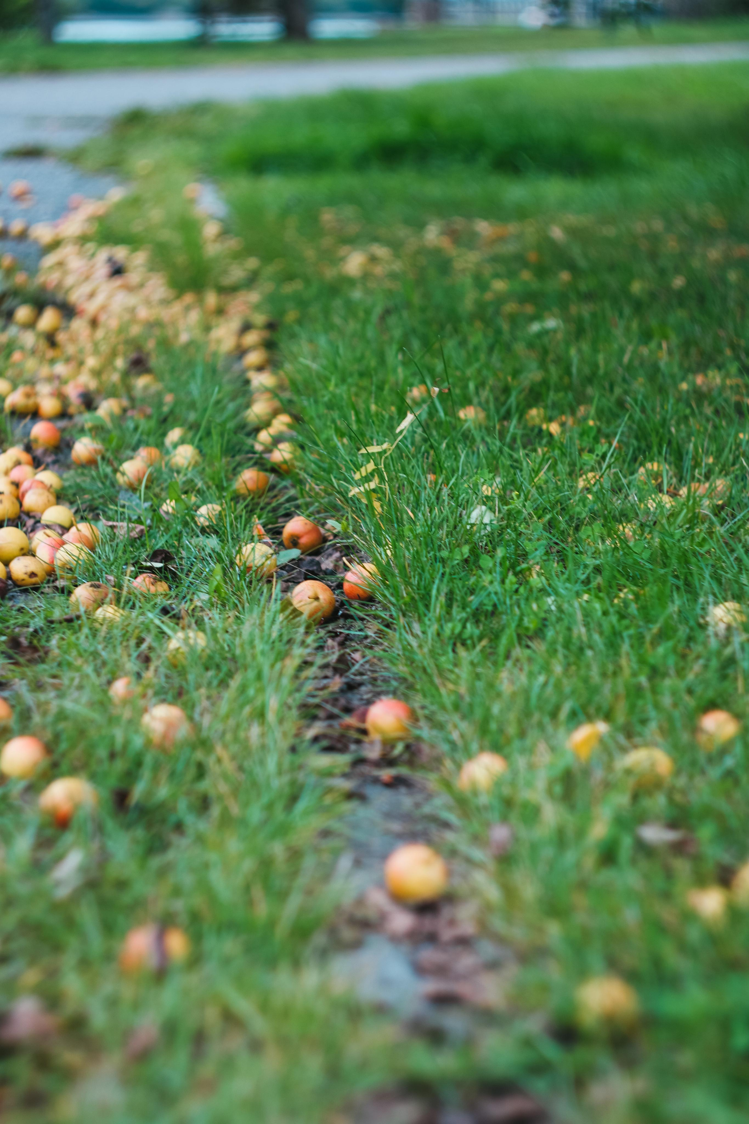 Фото для интерьера. Danna Dark. Фотограф | Красноярск