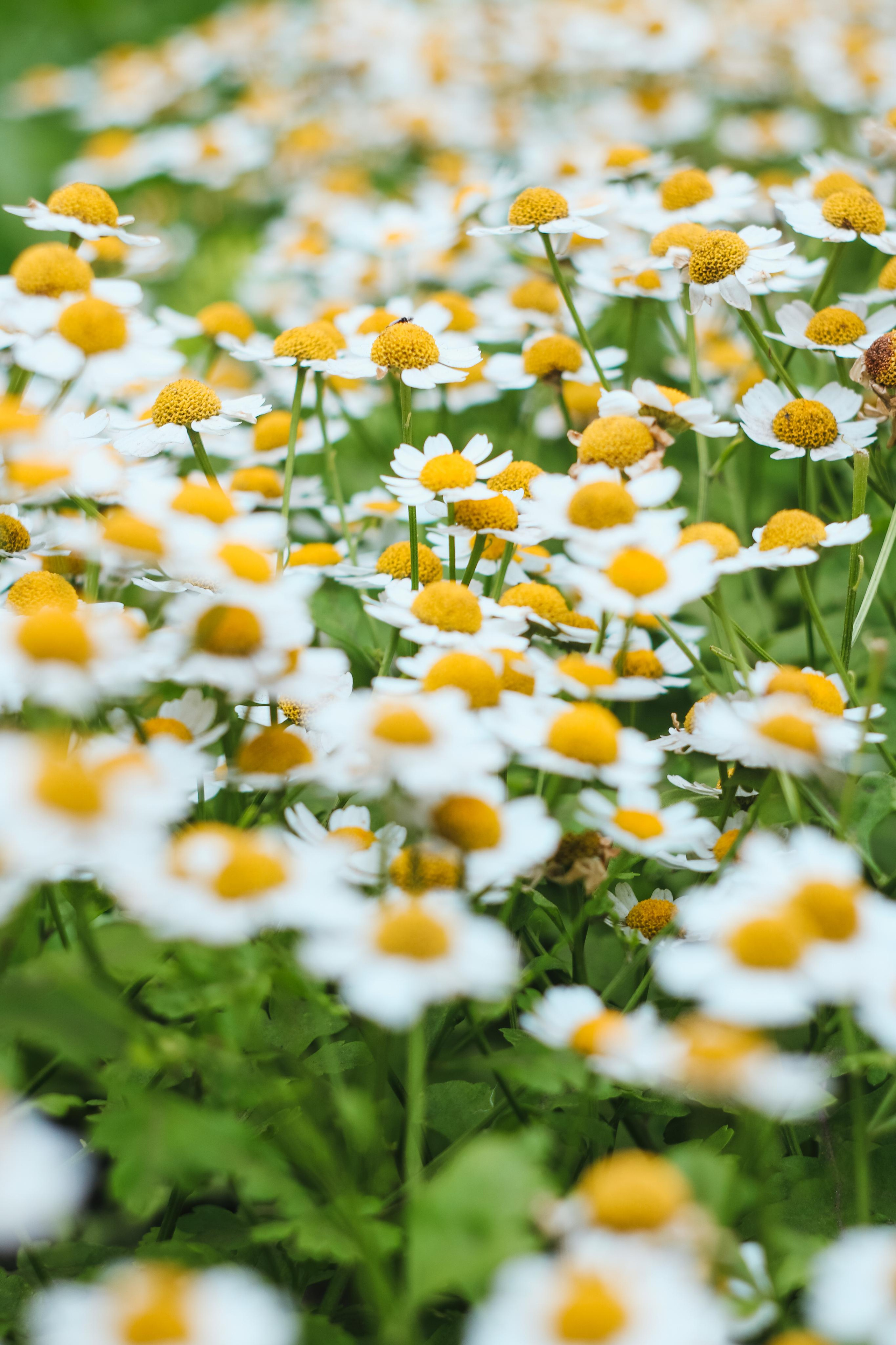 Фото для интерьера. Danna Dark. Фотограф | Красноярск