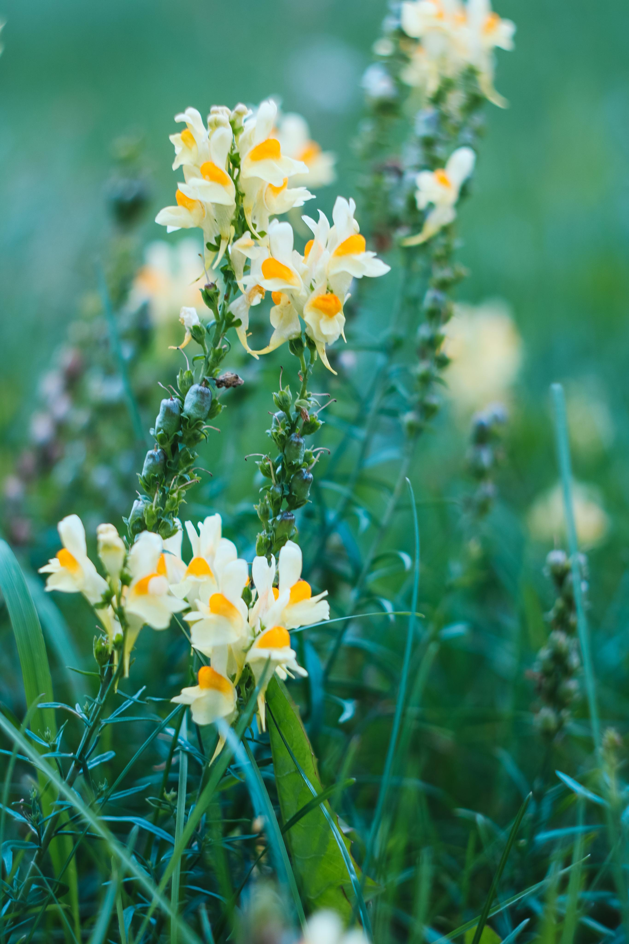 Фото для интерьера. Danna Dark. Фотограф | Красноярск