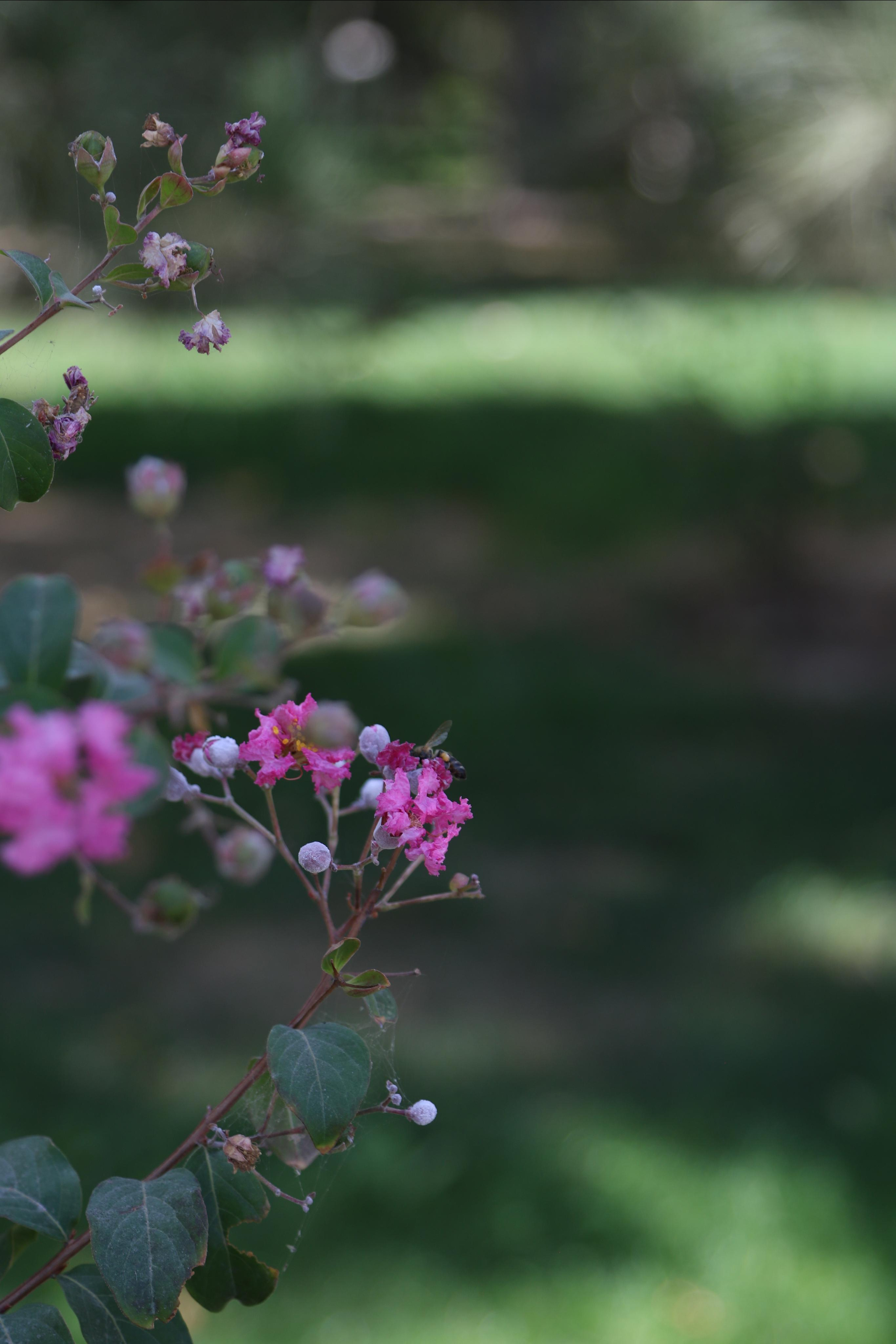 Фото для интерьера. Danna Dark. Фотограф | Красноярск